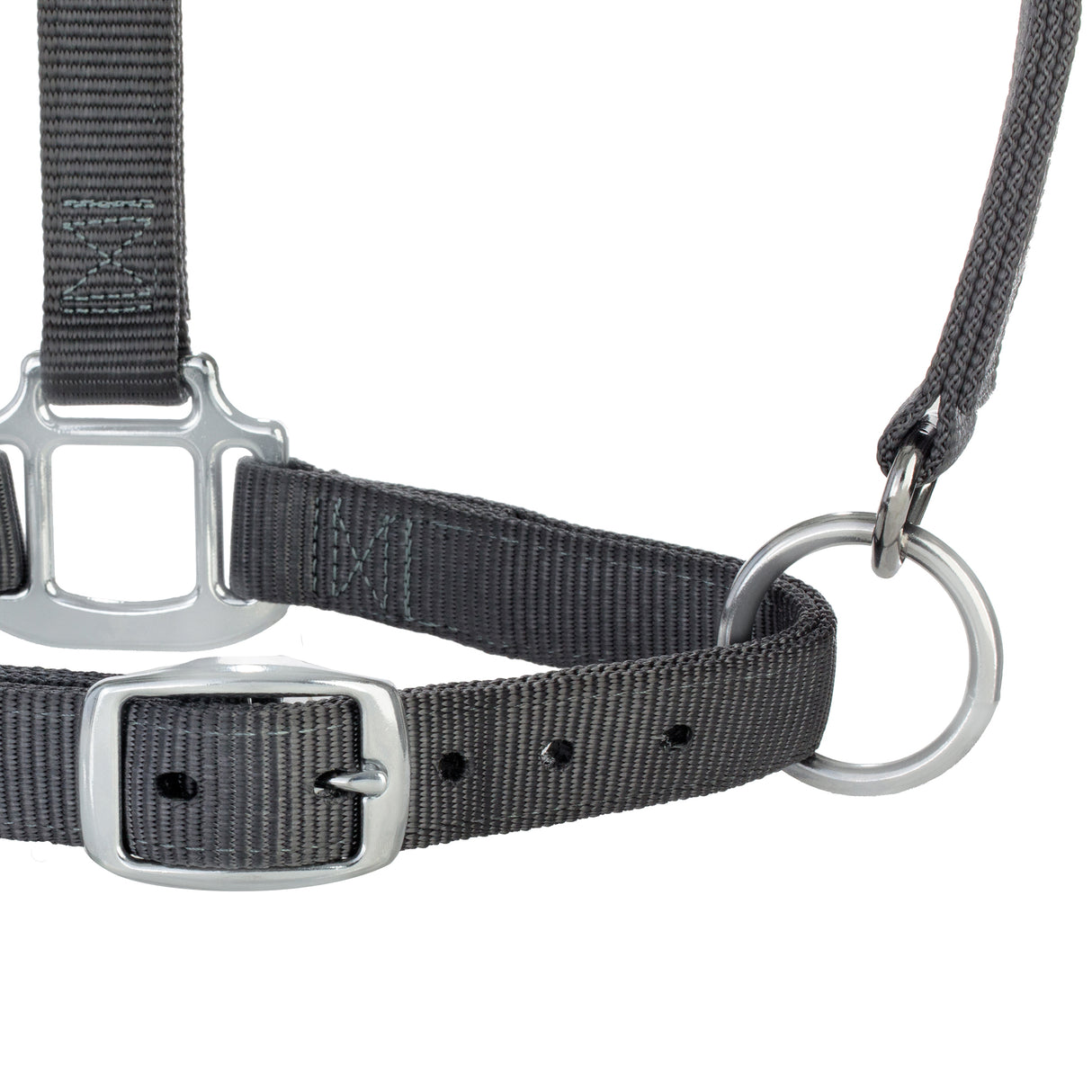 Original Adjustable Nylon Halter with Chrome Plated Hardware