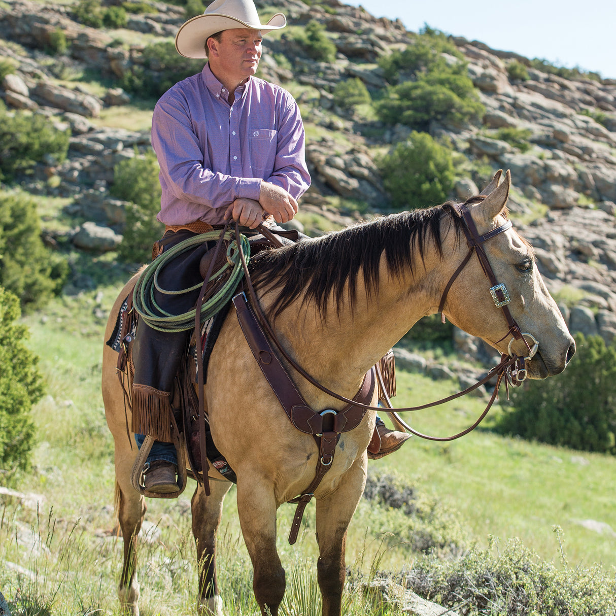 ProTack® Breast Collar, Oiled Russet