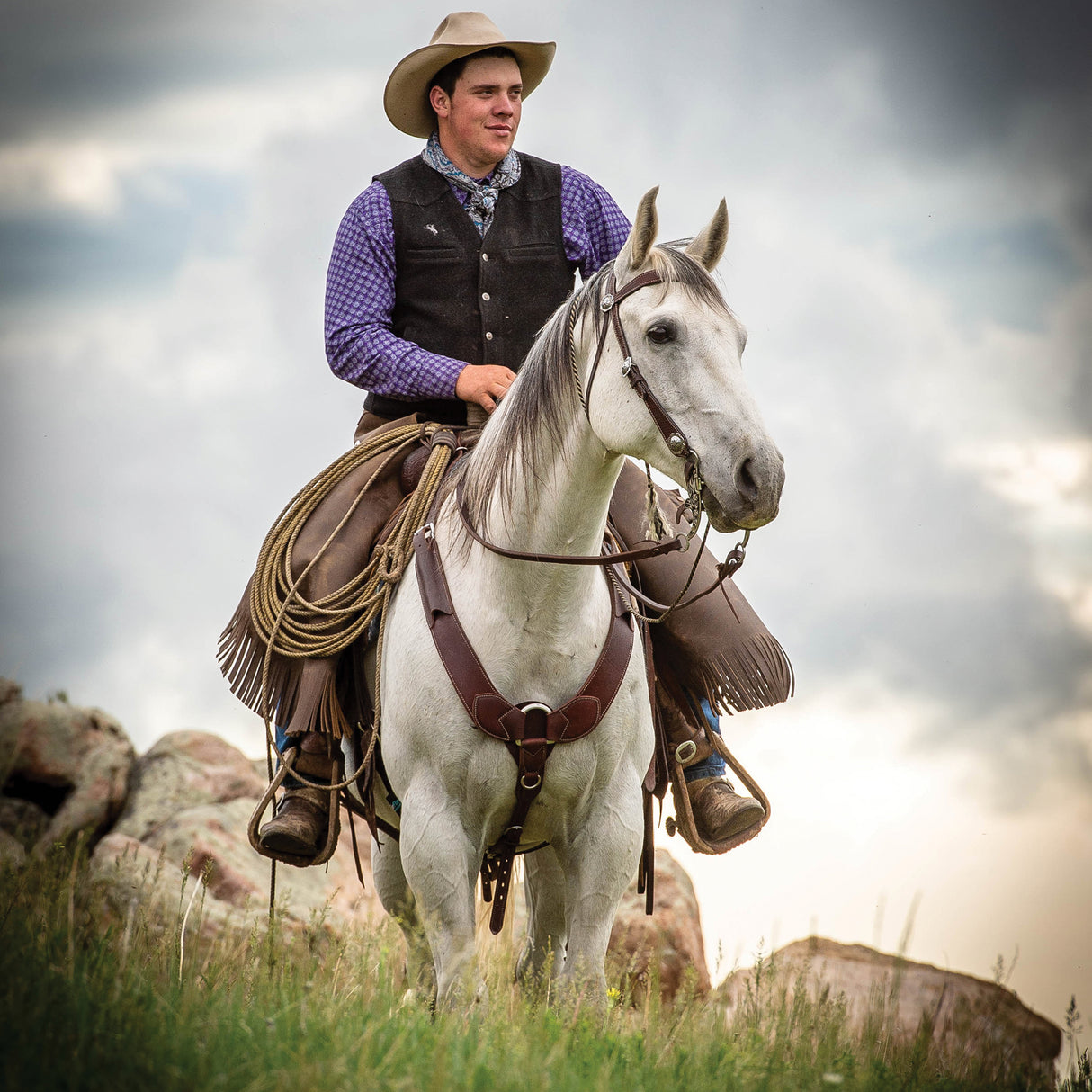 ProTack® Breast Collar, Oiled Russet