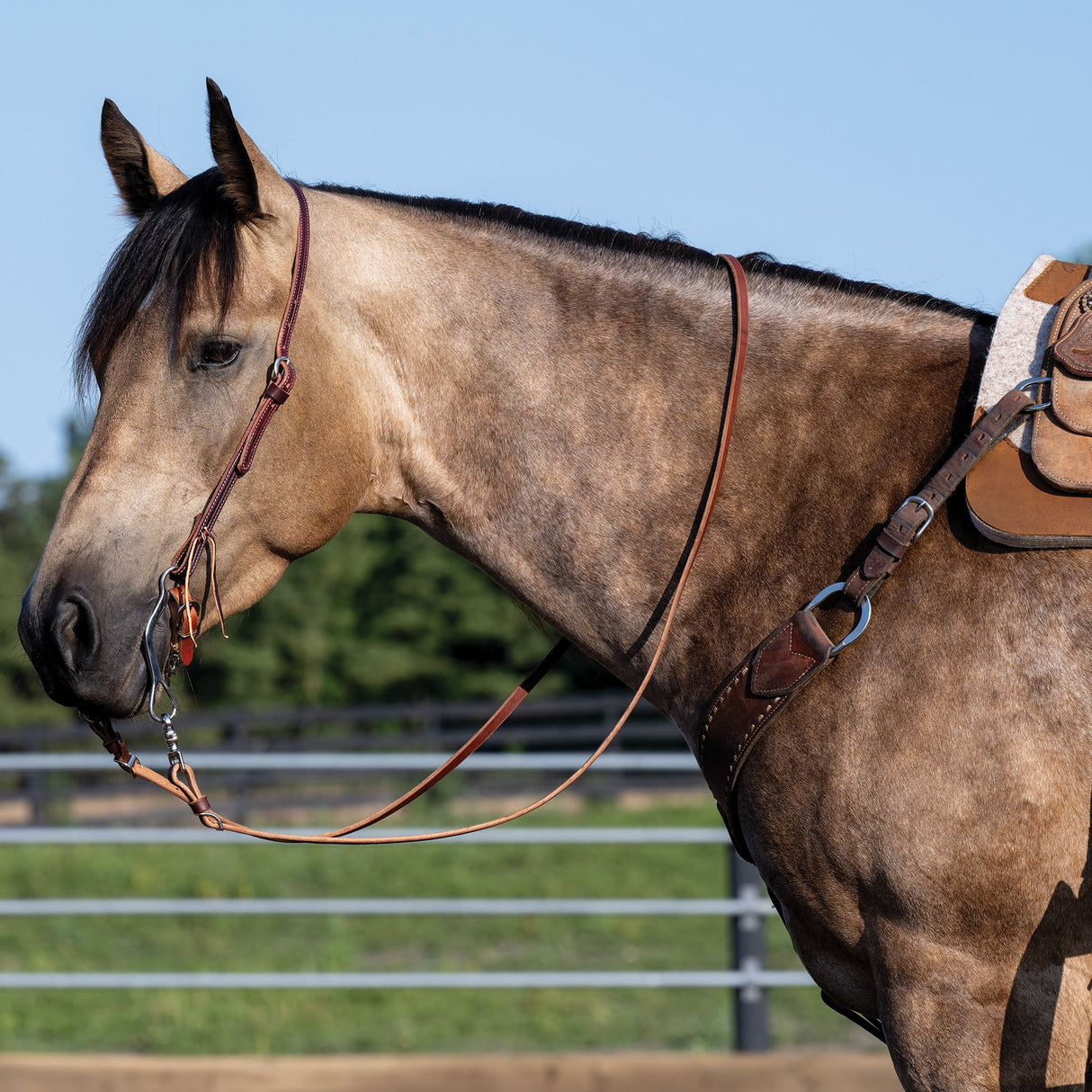 Latigo Leather Flat Sliding Ear Headstall