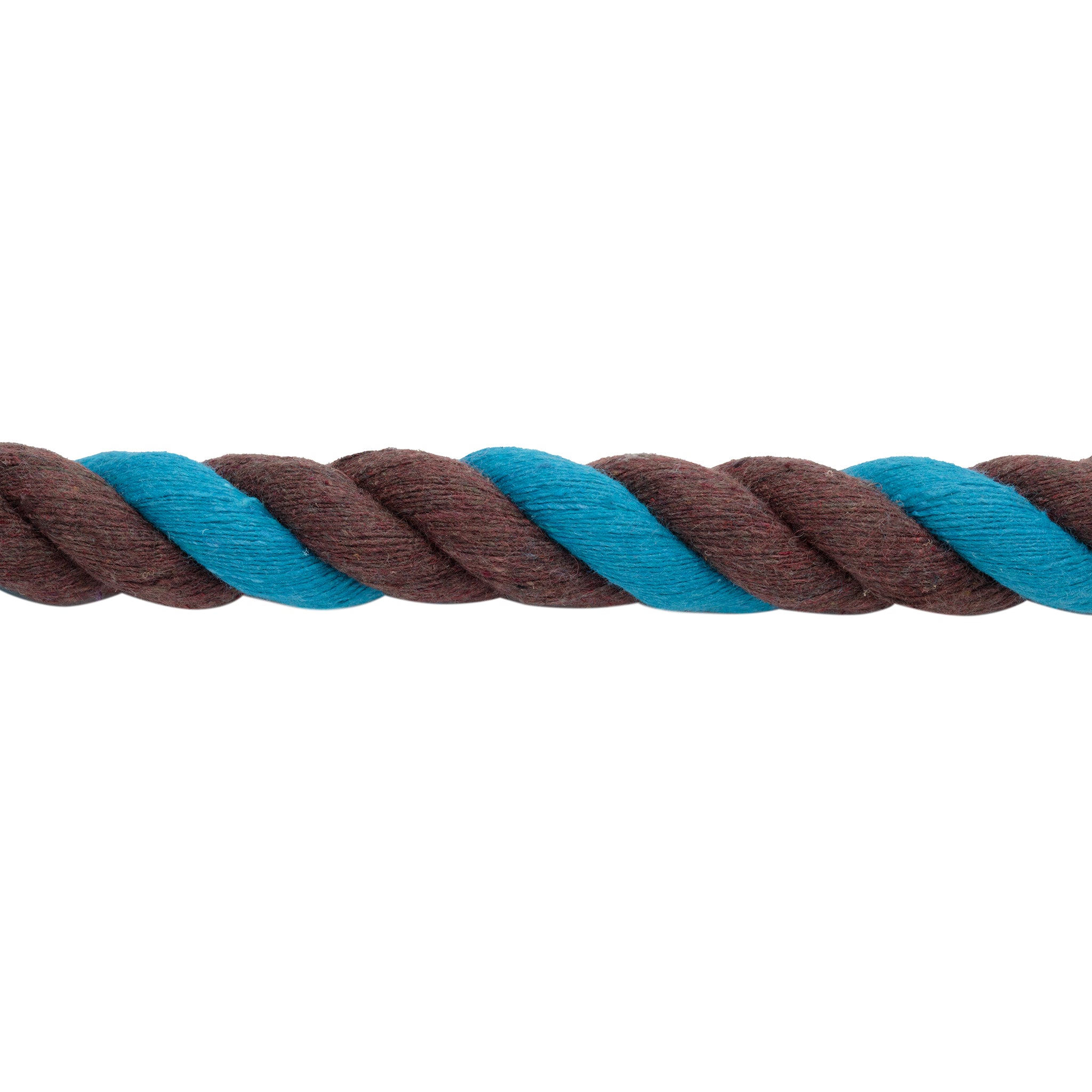 Cotton Lead Rope with Brass Plated 225 Snap, 5/8" x 10'