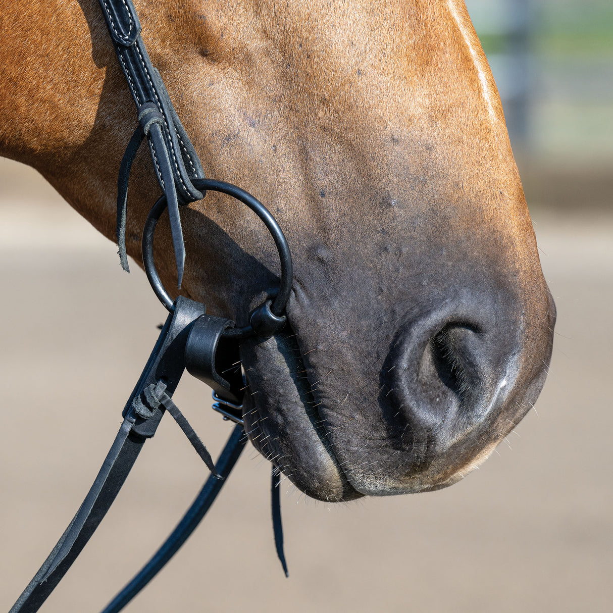 Ring Snaffle Bit with 5" Sweet Iron Dogbone Mouth with Copper Inlay