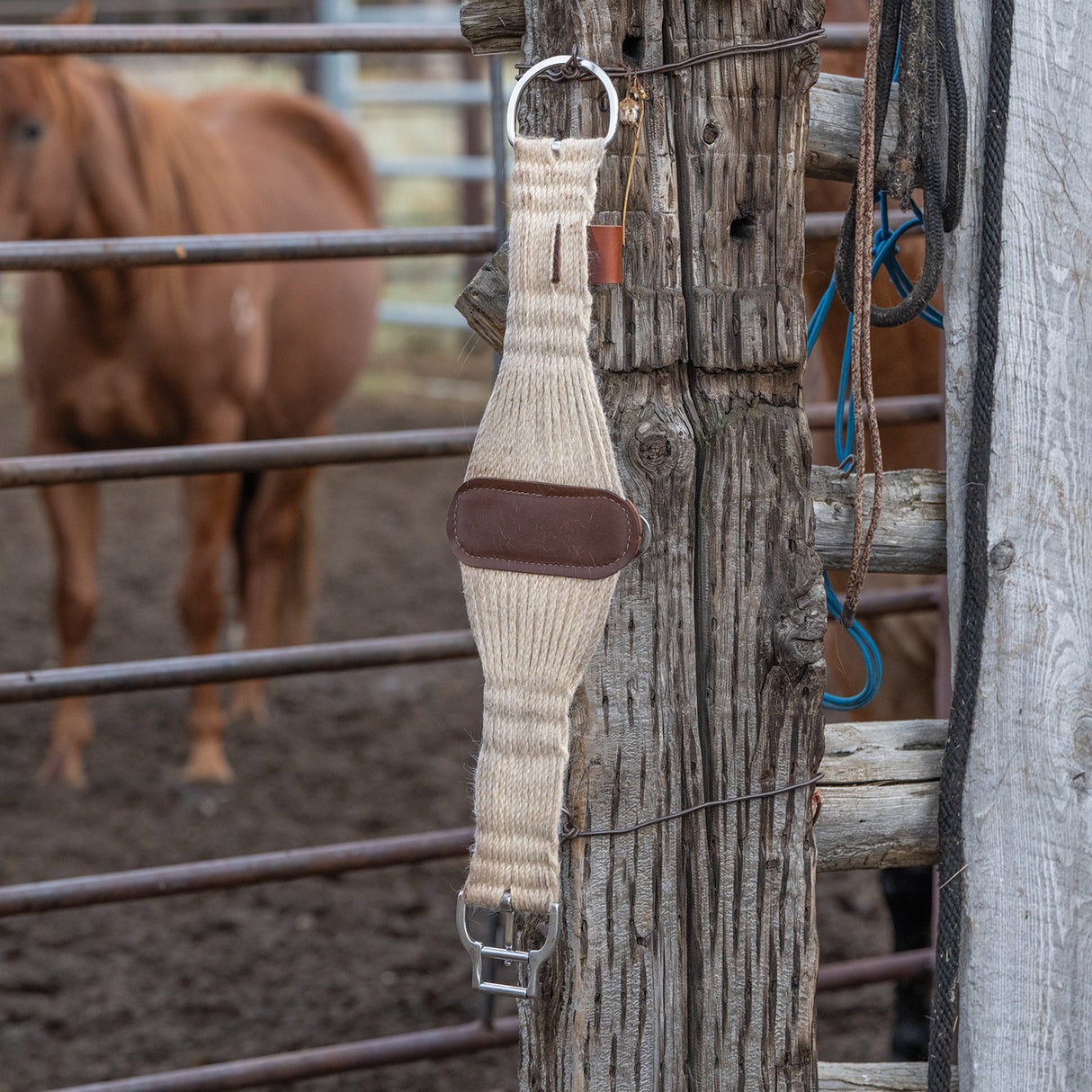 Mohair Blend 27 Strand Smart Cinch® with Roll Snug Buckle