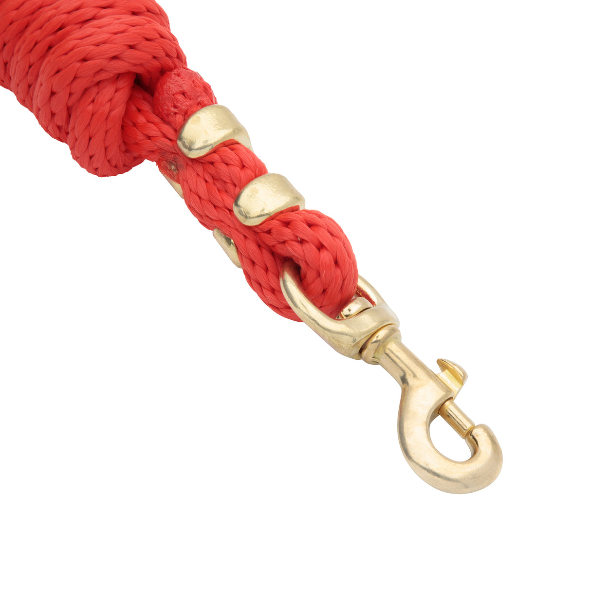 Mini/Pony Lead with Brass Snap