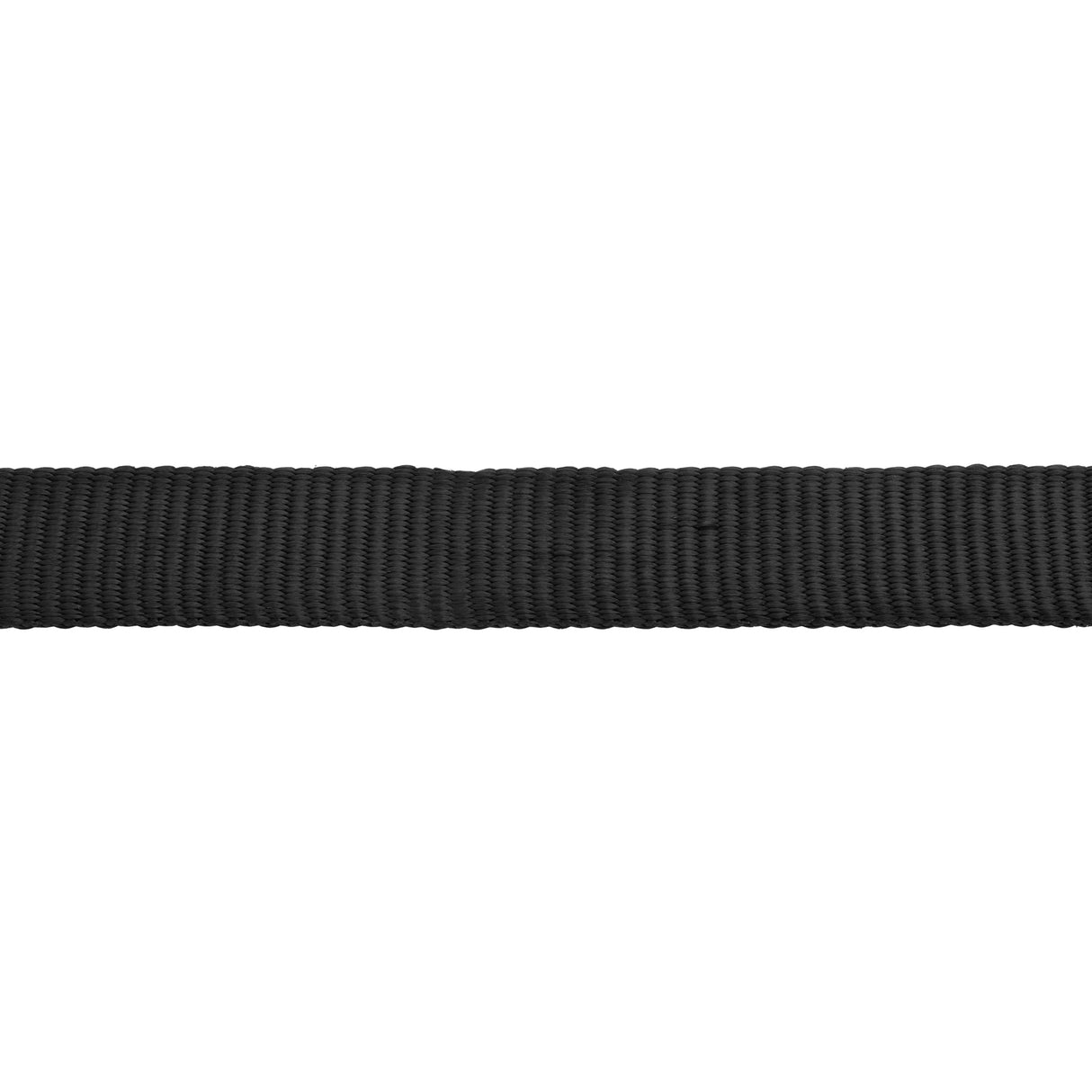 Flat Nylon Lunge Line, 1" x 24 with Chain