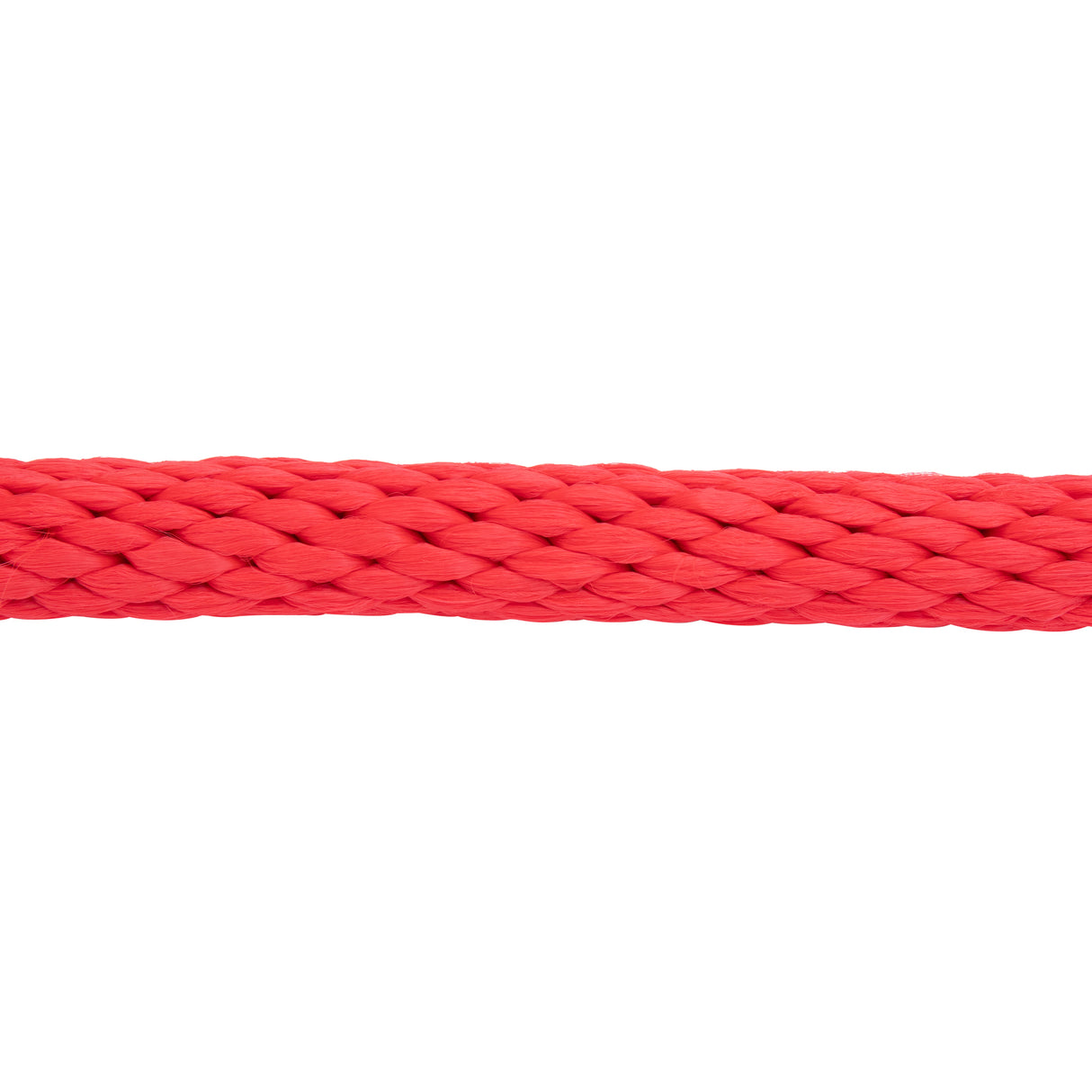Poly Lead Rope with Nickel Plated Bull Snap