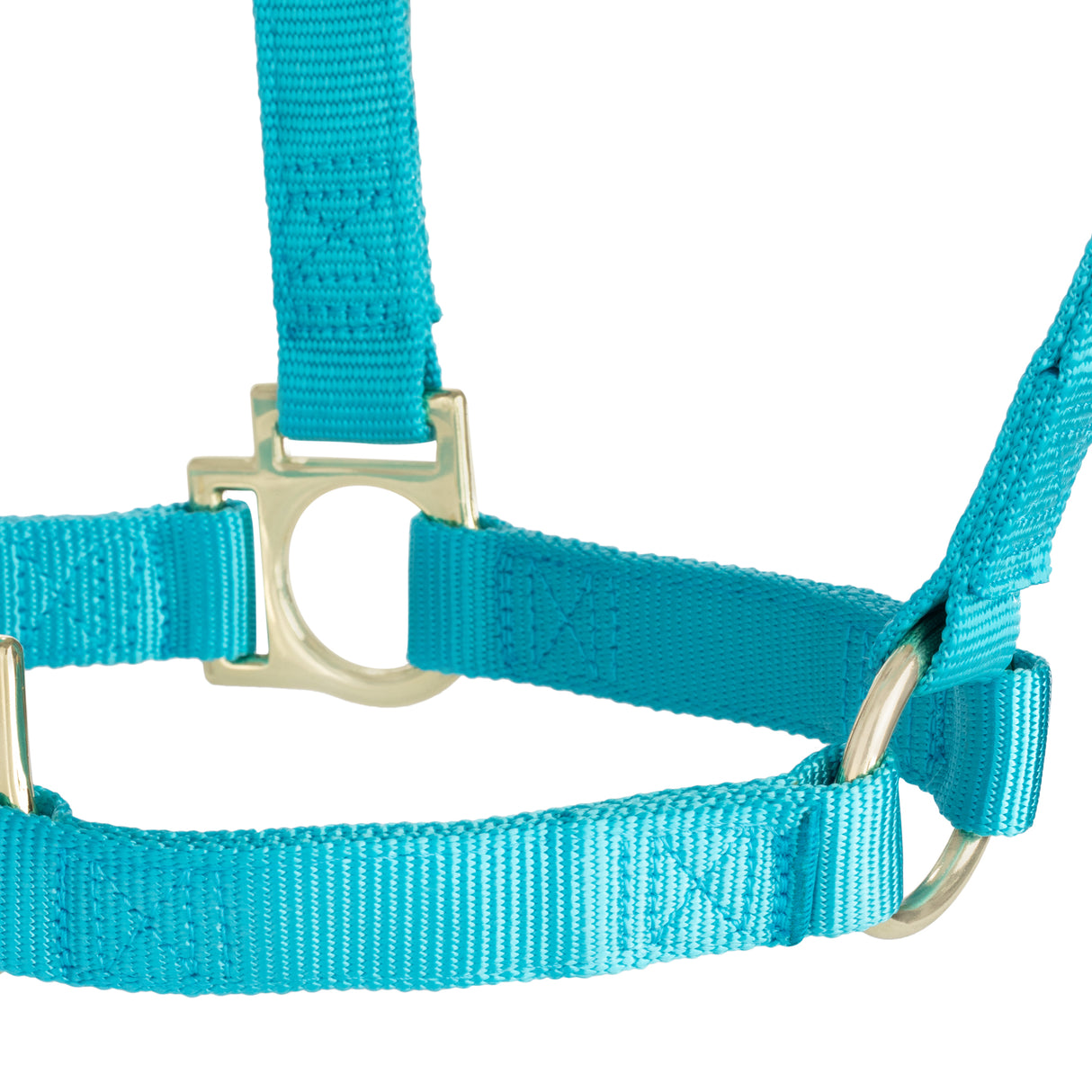 Basic Non-Adjustable Halter