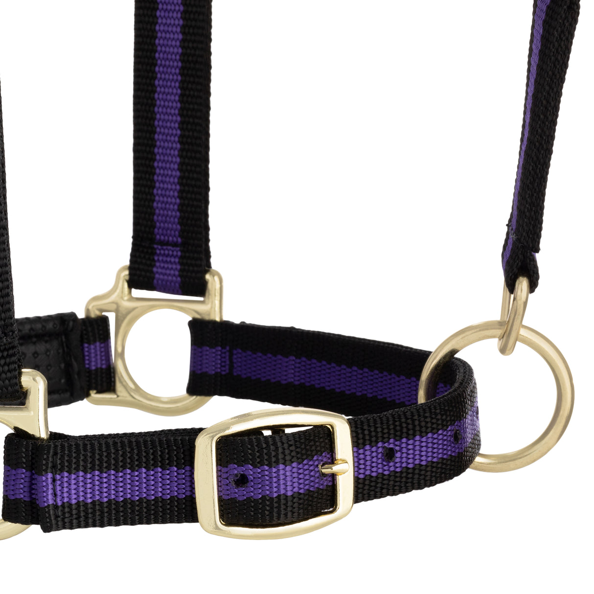 Padded Adjustable Chin and Throat Snap Halter, Striped