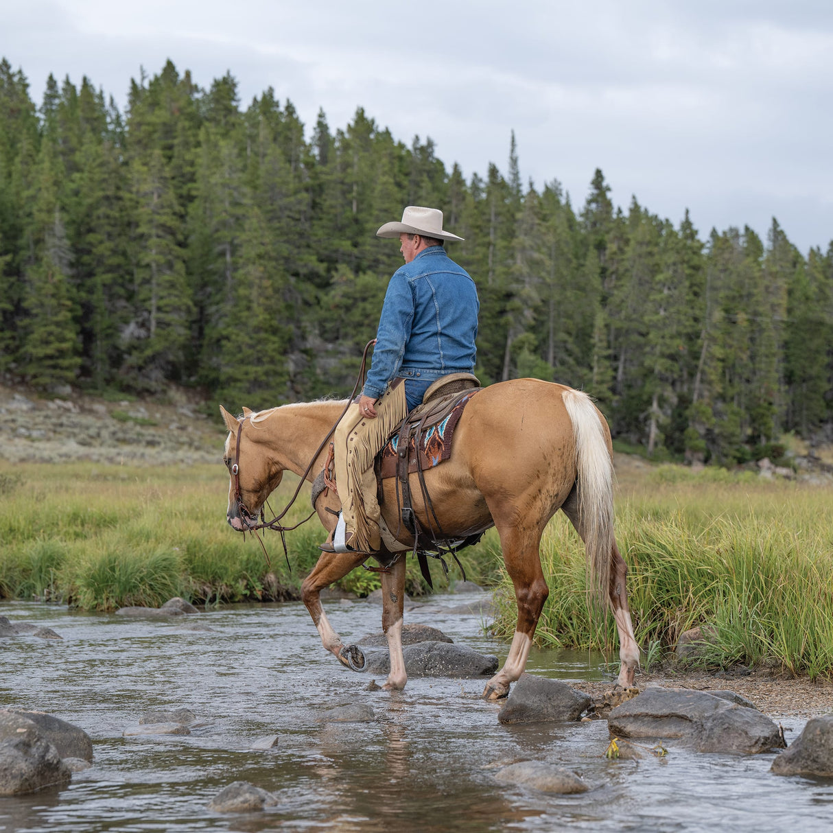 Premium Western Leather Chaps