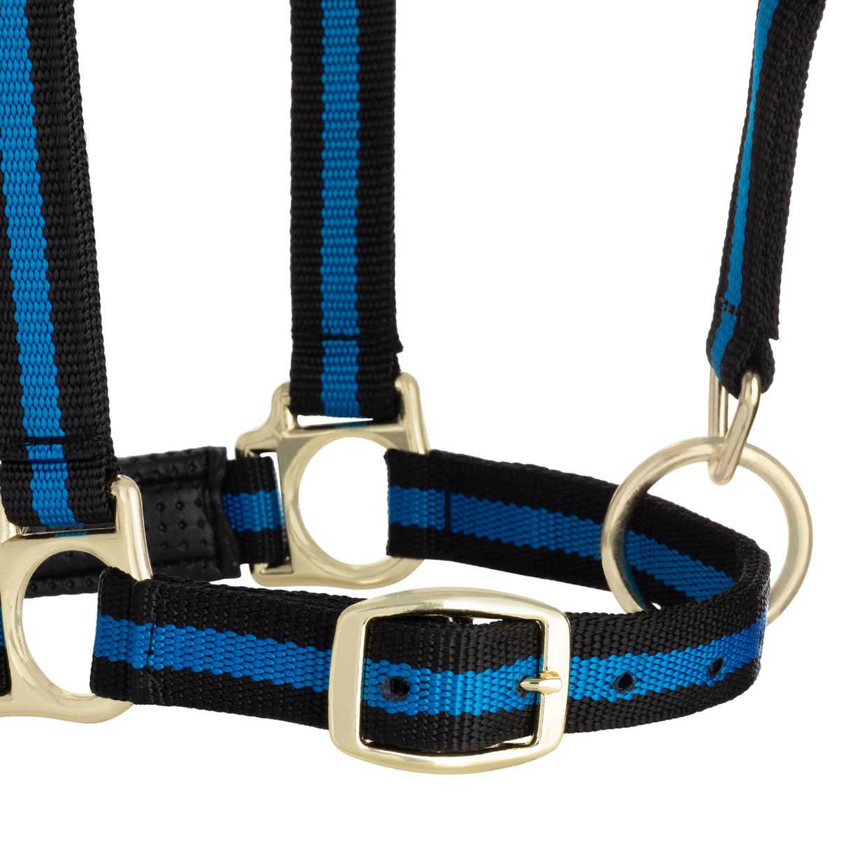 Padded Adjustable Chin and Throat Snap Halter, Striped