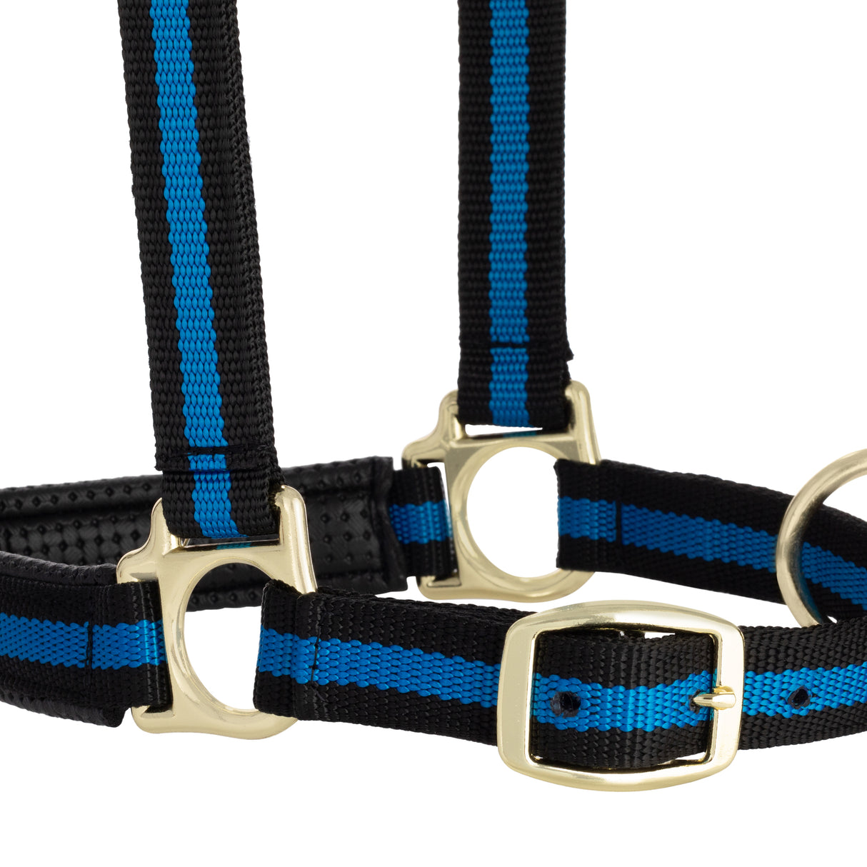 Padded Adjustable Chin and Throat Snap Halter, Striped