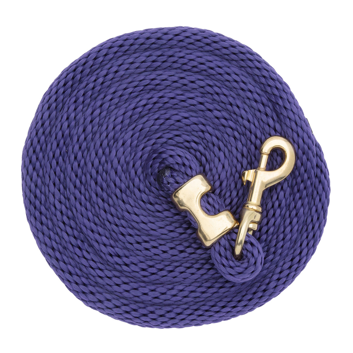 Mini/Pony Lead with Brass Snap