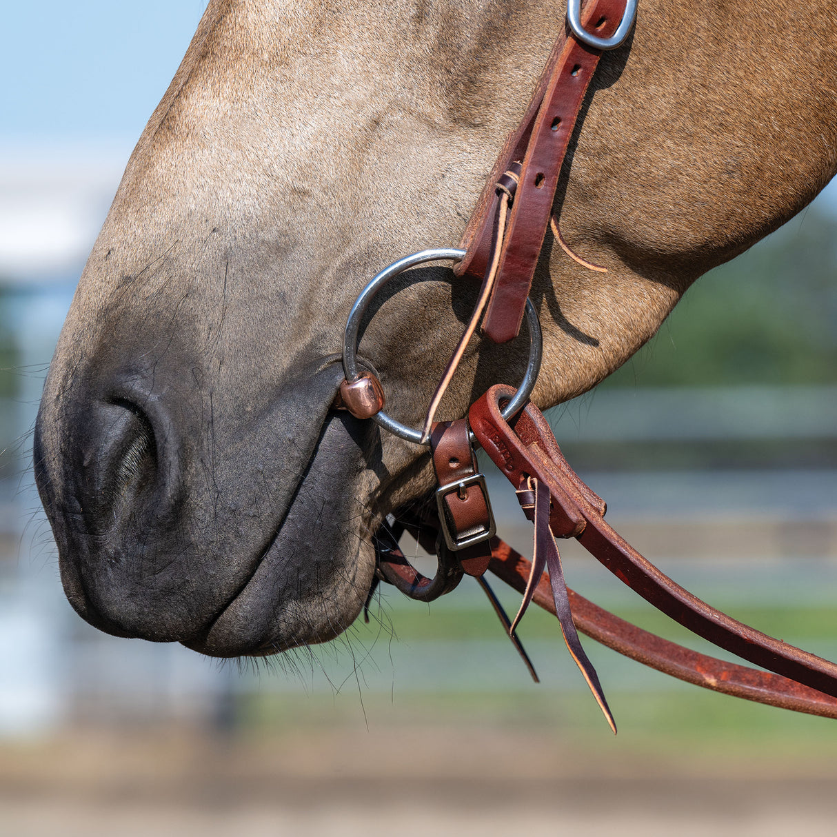 Professional Ring Snaffle Bit, 5" Copper Mouth
