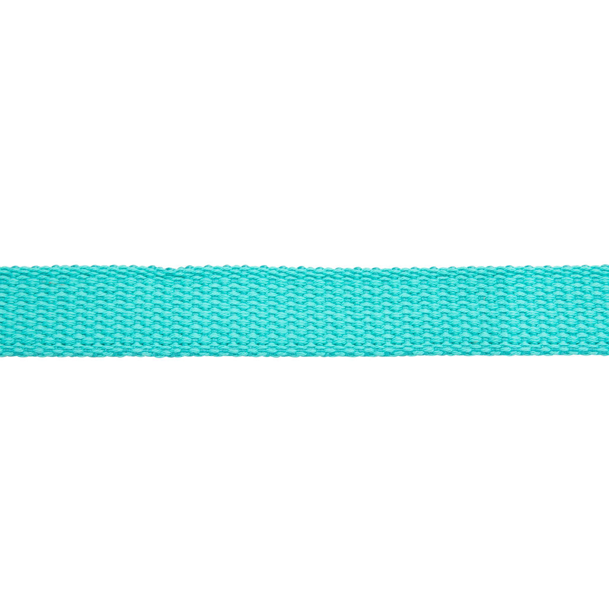 Flat Cotton Lunge Line, 1" x 30 with Nickel
