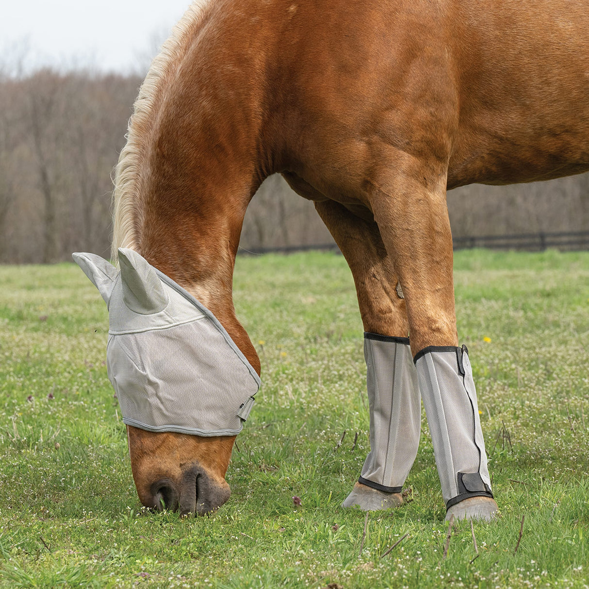 Horse Fly Boots - Set of 4, Mesh, Breathable, UV Protection