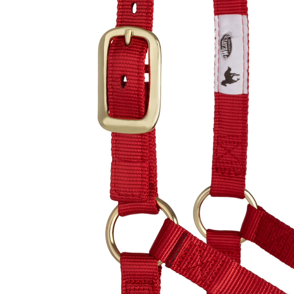 Basic Non-Adjustable Halter