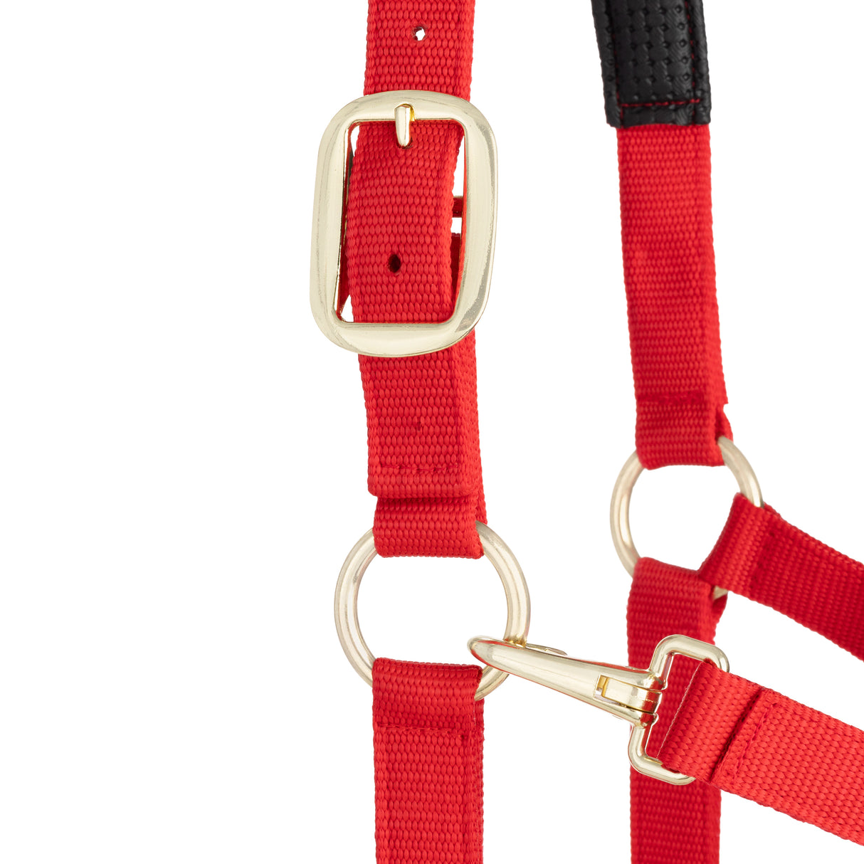 Padded Adjustable Chin and Throat Snap Halter, Solid Colors