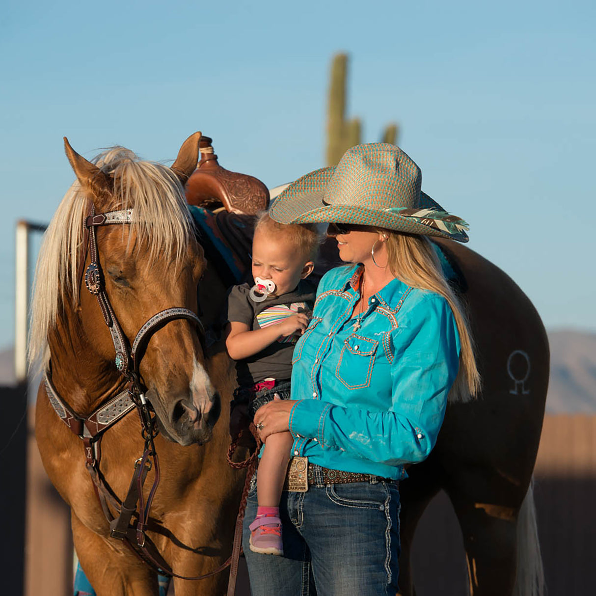 Savannah Contoured Breast Collar