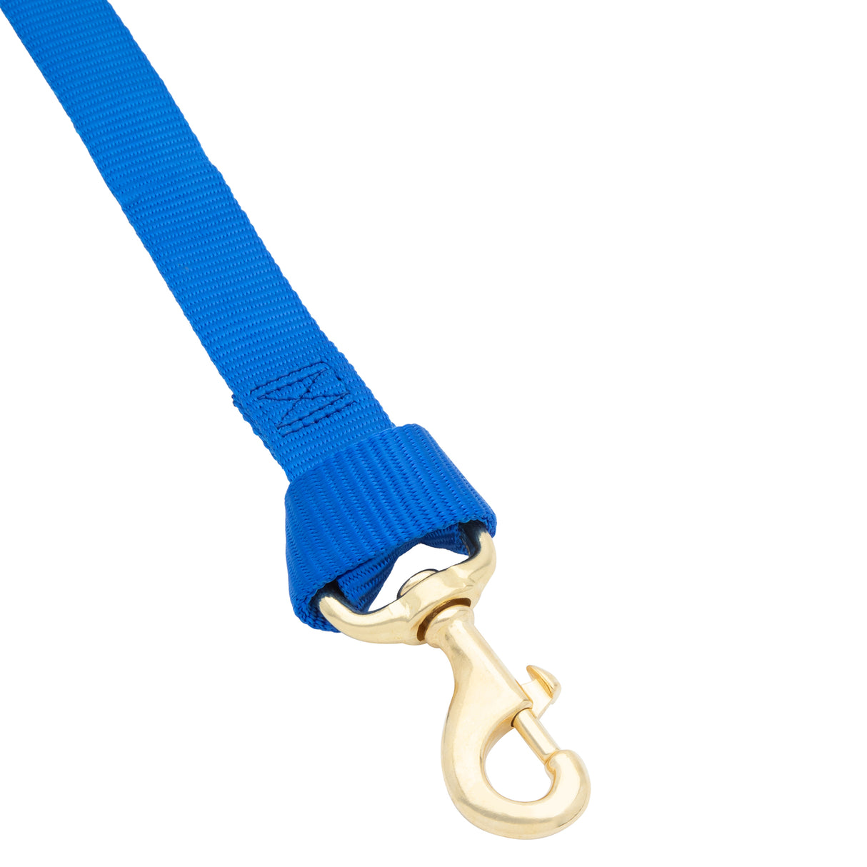 Flat Nylon Lunge Line, 1" x 30 with Snap