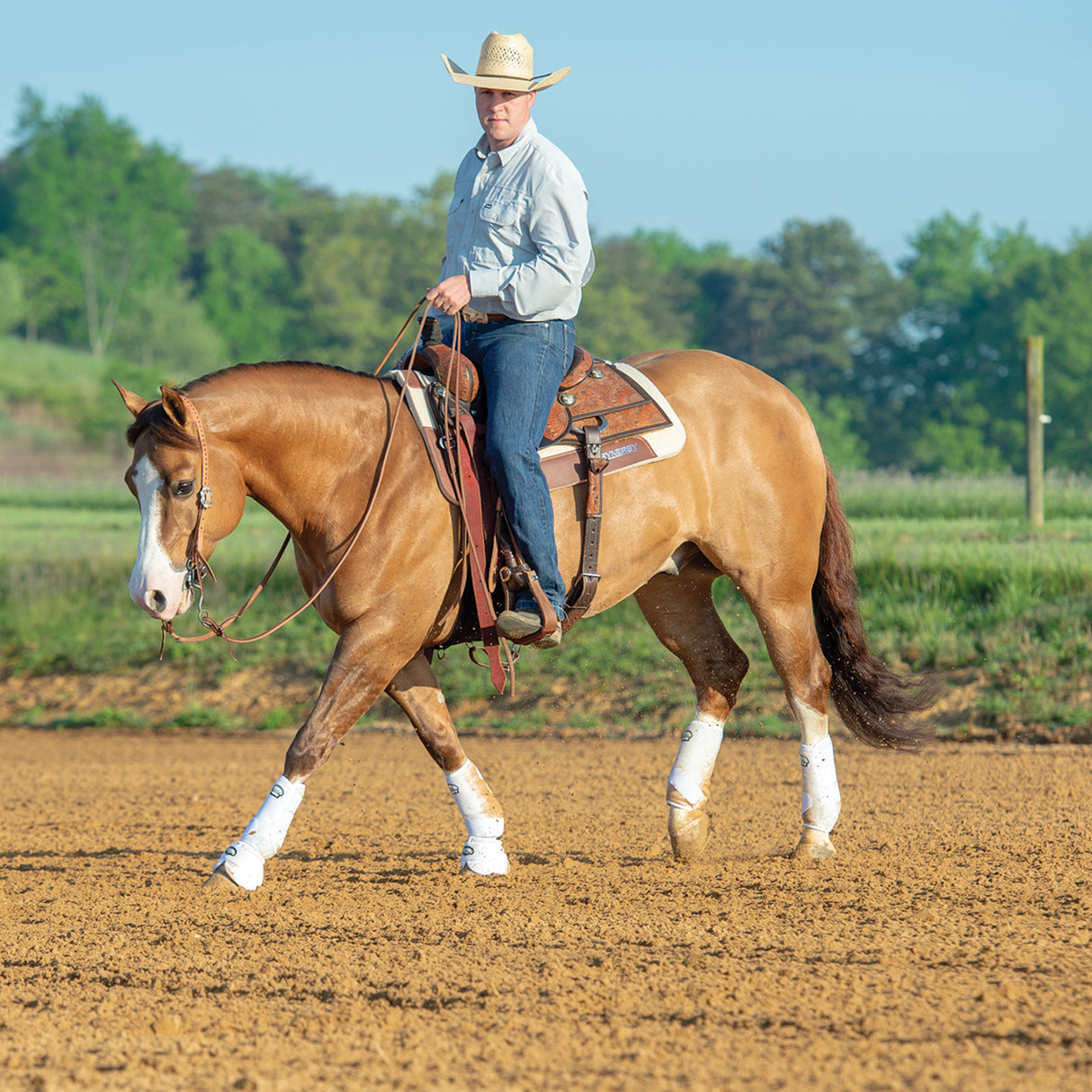 Working Tack Extra Heavy Harness Split Reins with Pineapple Knots, 5/8" x 8'