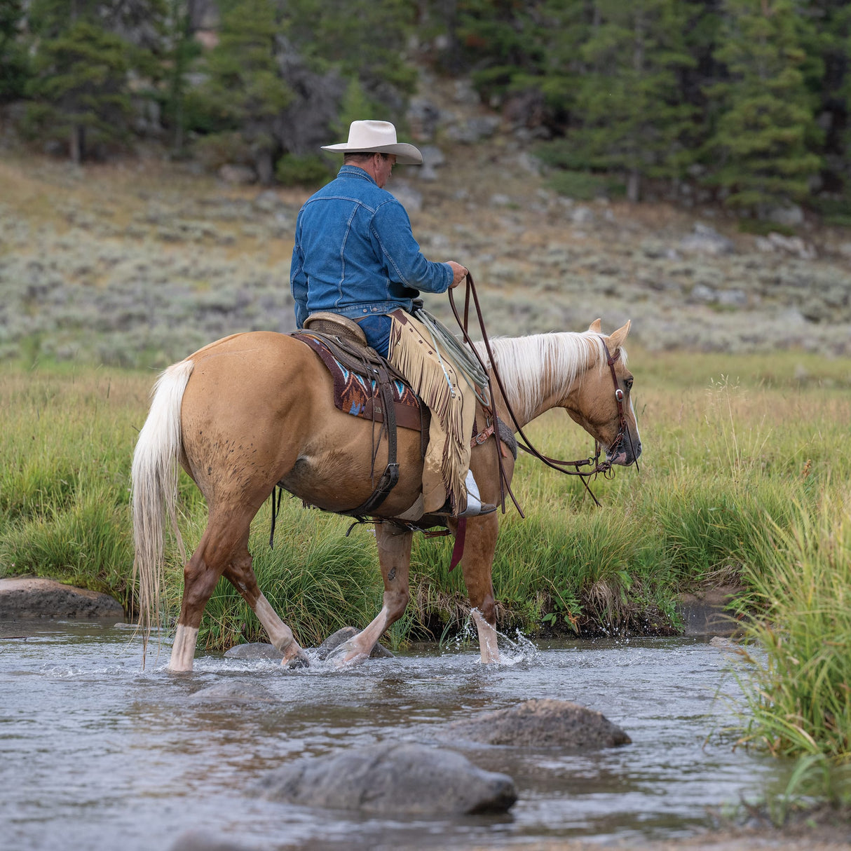 Premium Western Leather Chaps