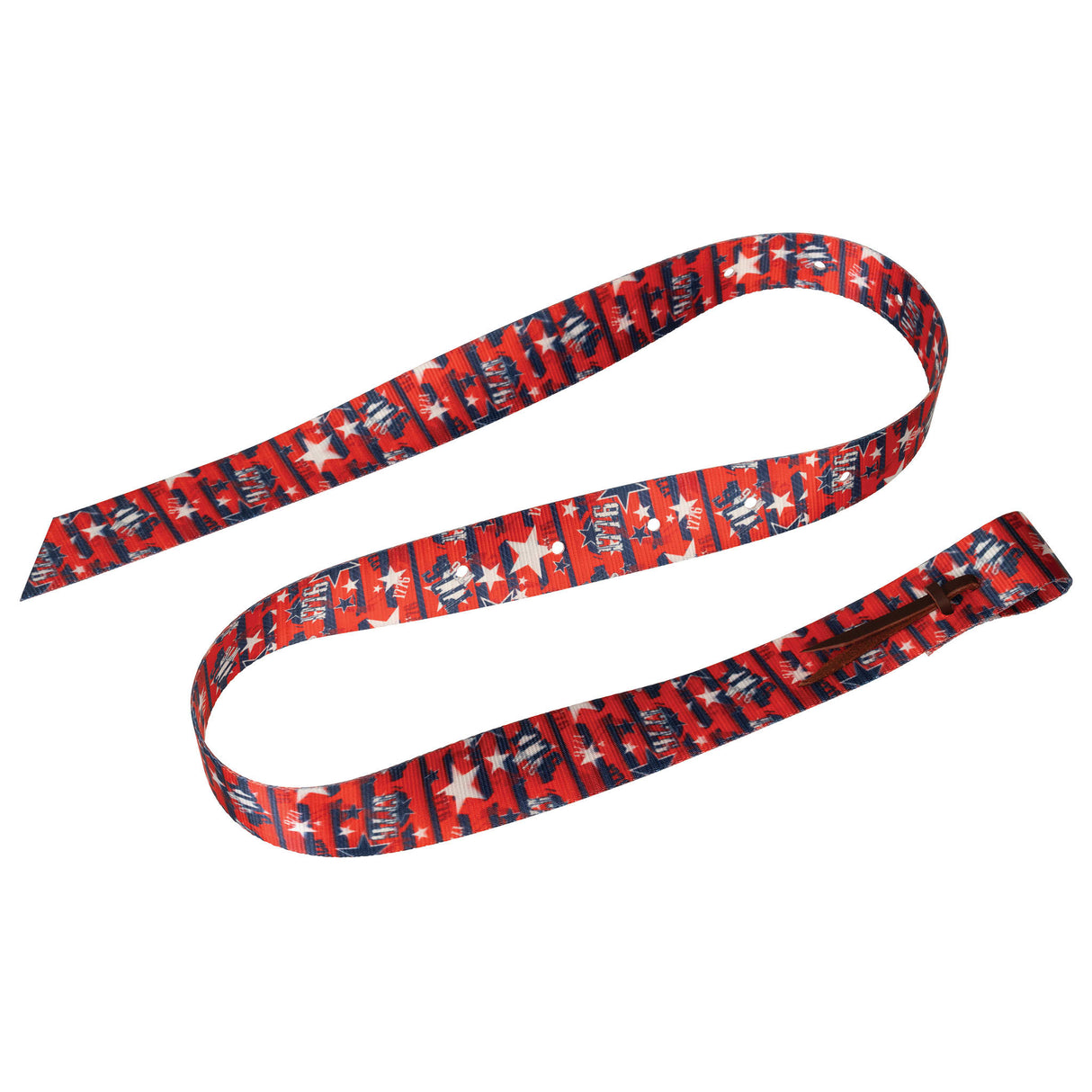 Patterned Poly Tie Strap with Holes, 1-3/4" x 60"