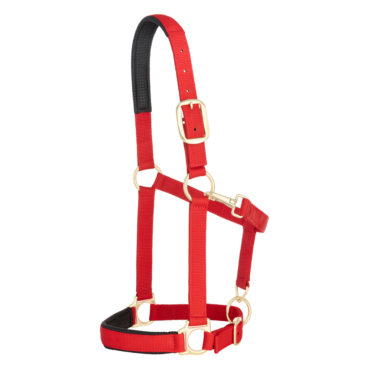 Padded Adjustable Chin and Throat Snap Halter, Solid Colors