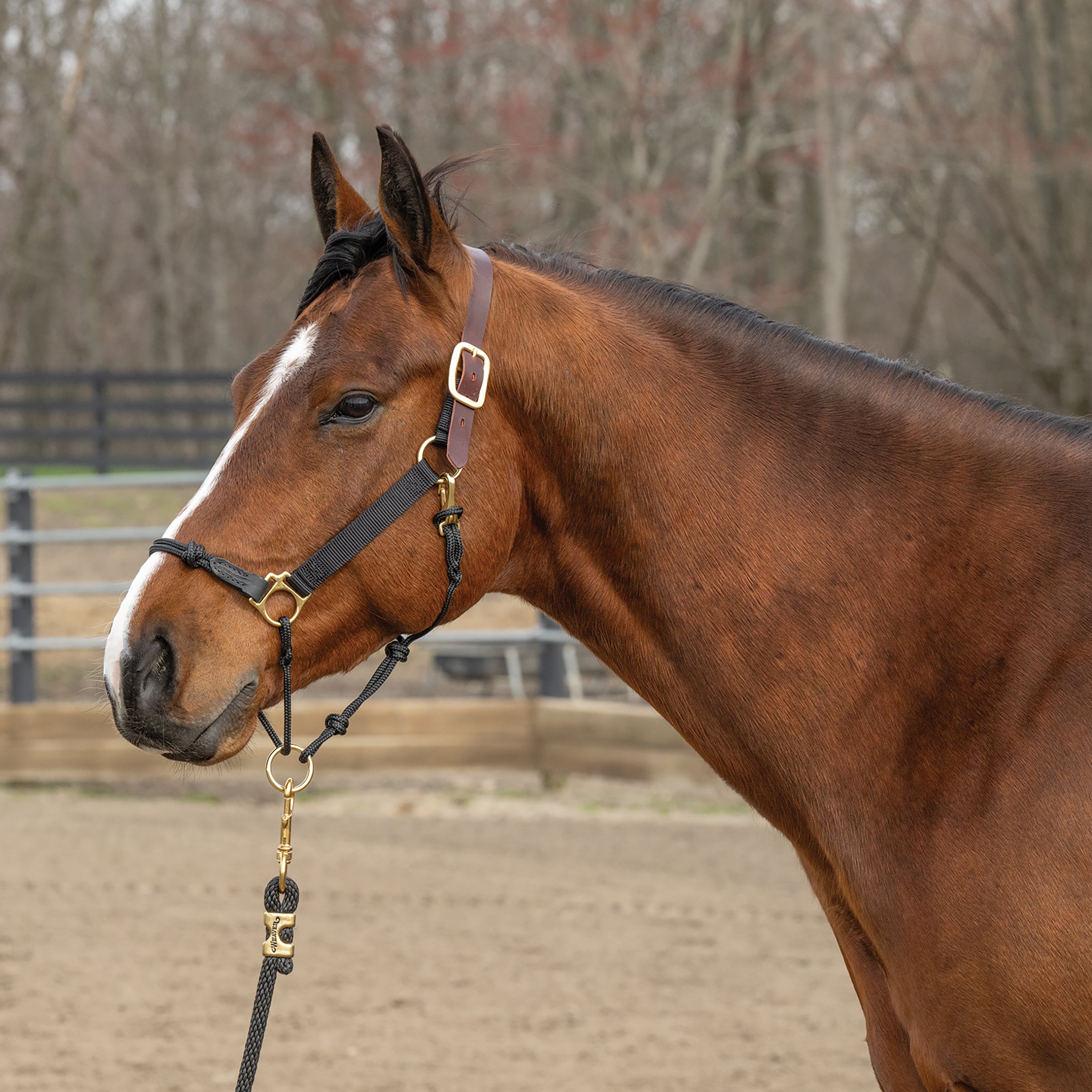 Kalley Krickeberg Breakaway Horseman's Halter, Nylon, Leather & Rope Combination Horse Halter
