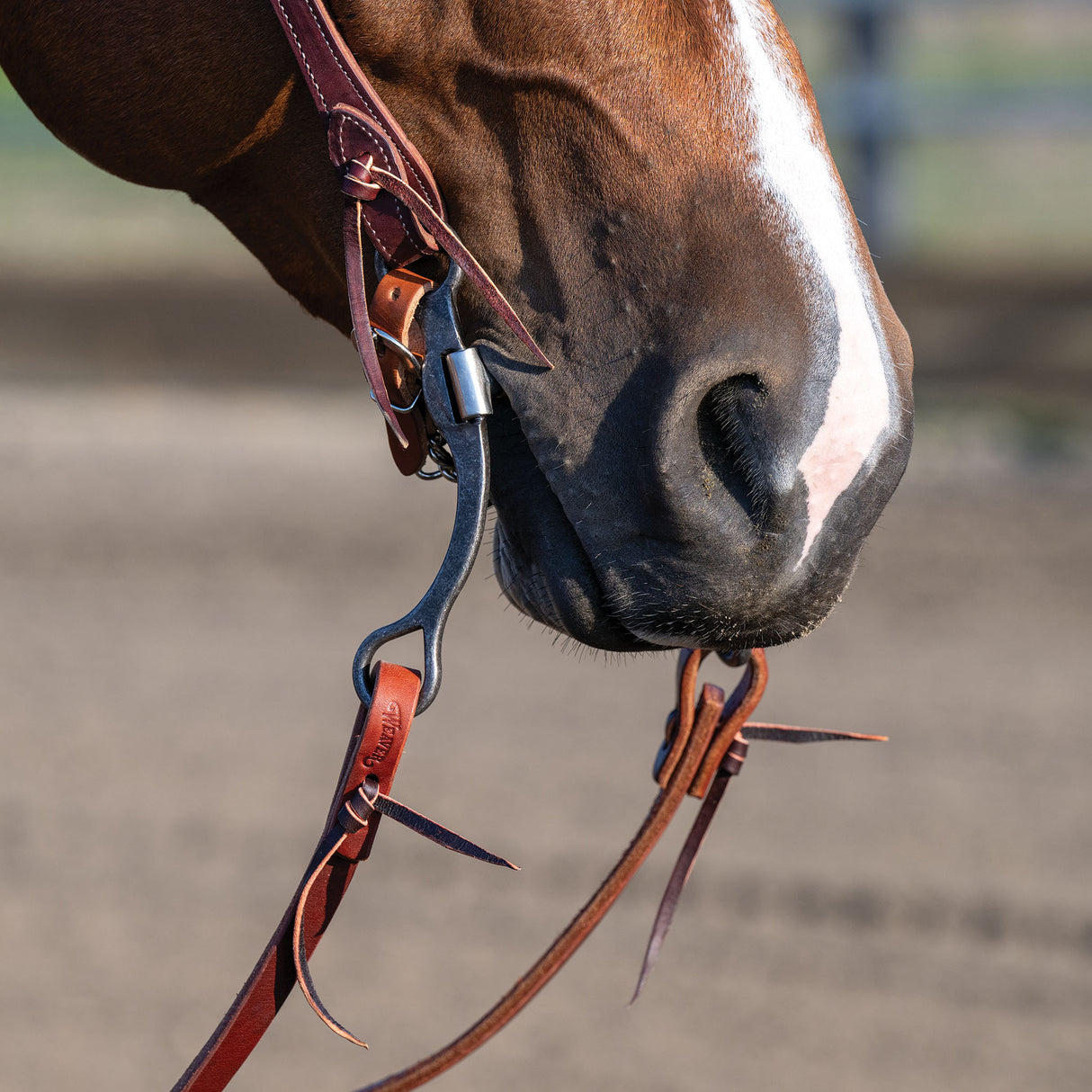 Professional Shank Bit, 5" Low Port Correction Mouth with Flat Copper Roller Bars
