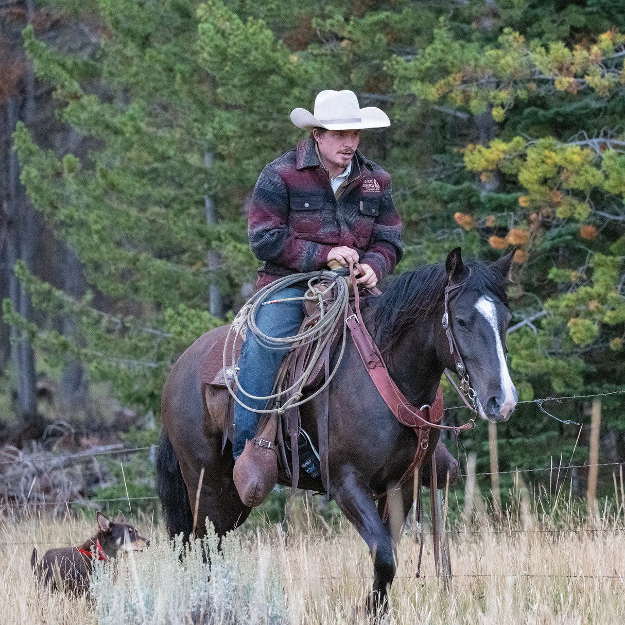 Basin Cowboy Sliding Ear Headstall