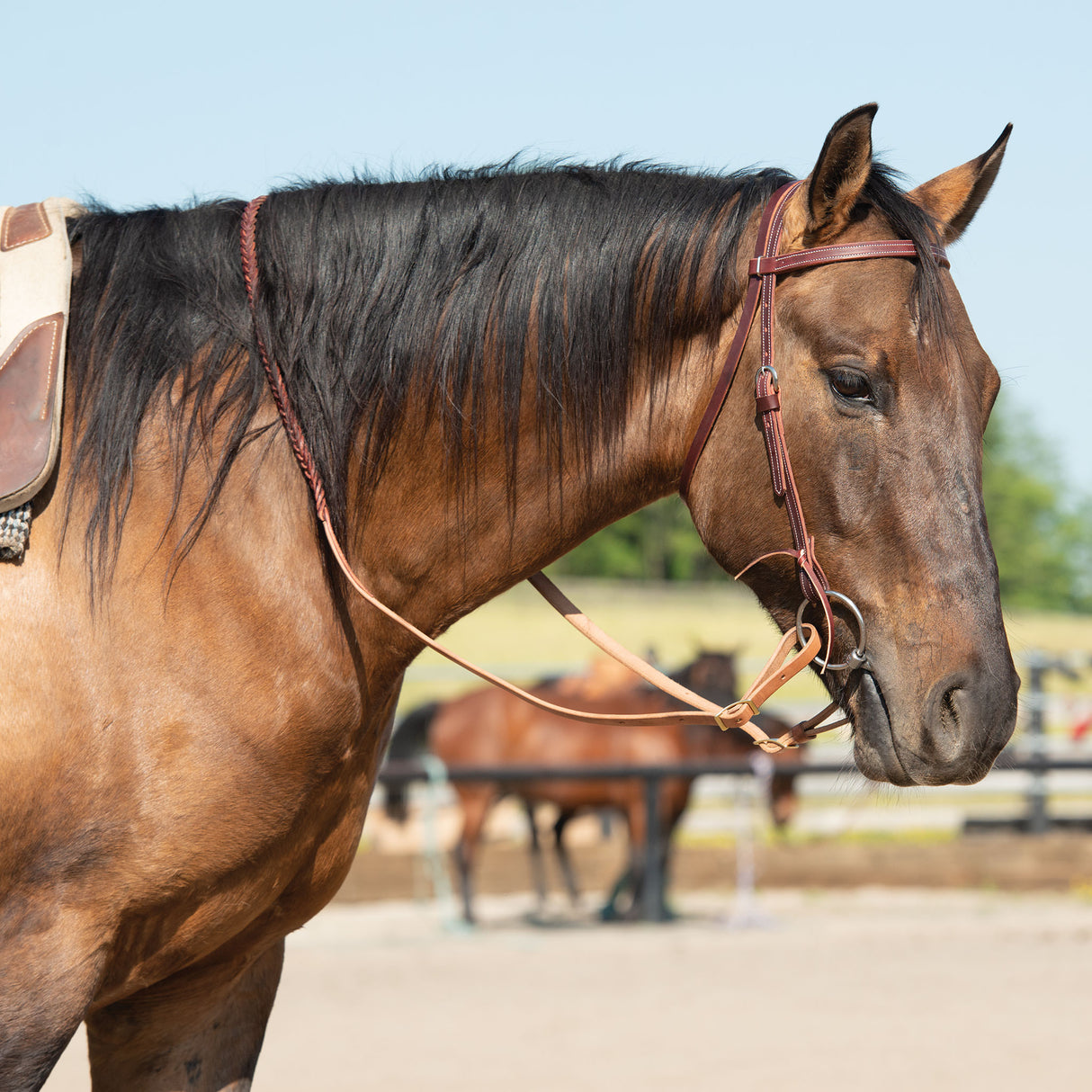 Latigo Leather Browband Headstall