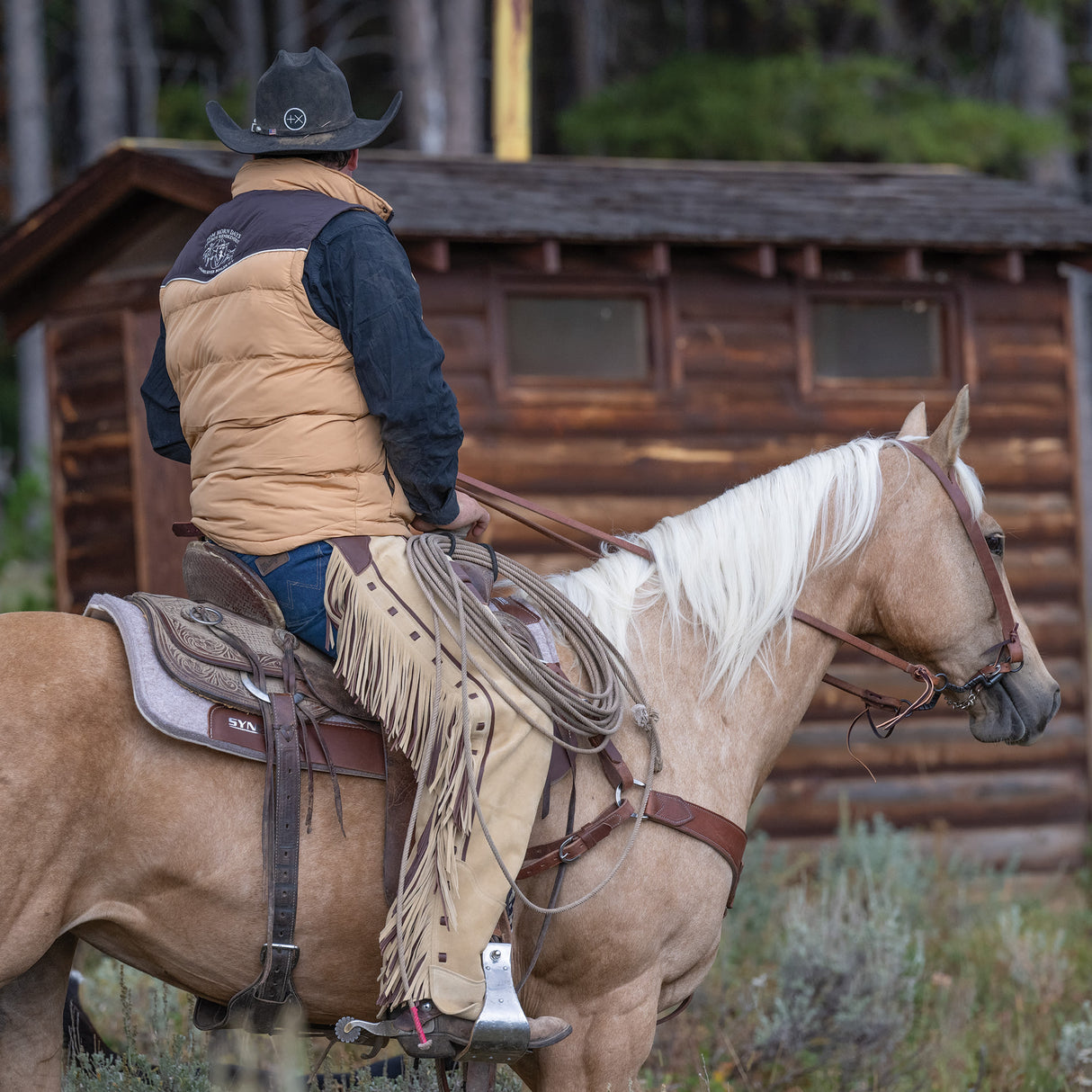 Premium Western Leather Chaps