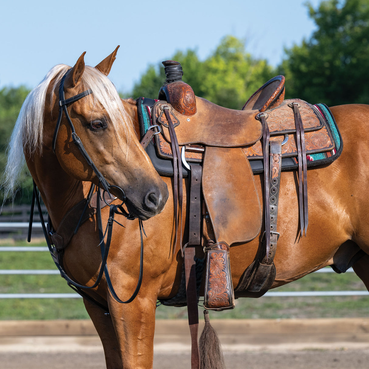Black Leather Browband Headstall