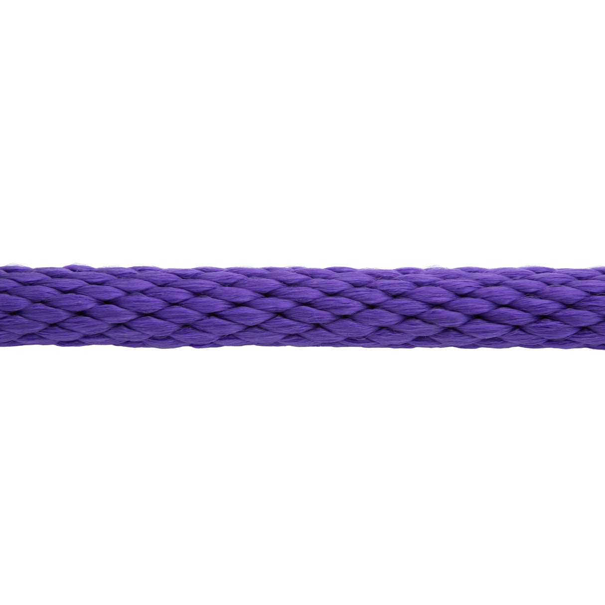 Poly Lead Rope with Brass Plated Swivel Chain