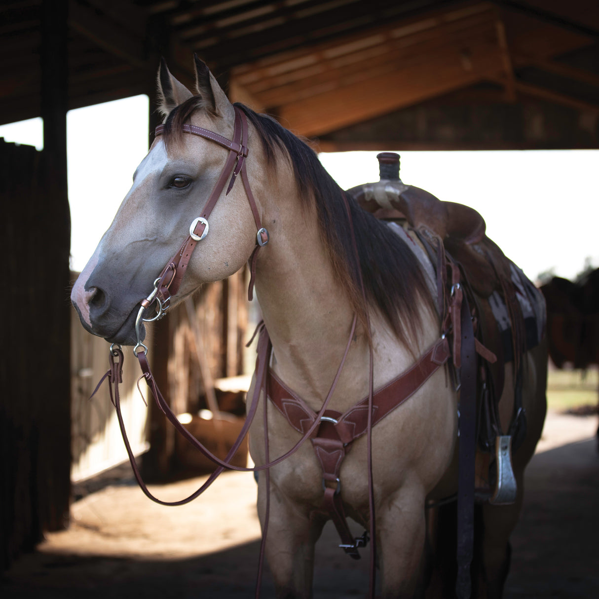 ProTack® Browband Headstall