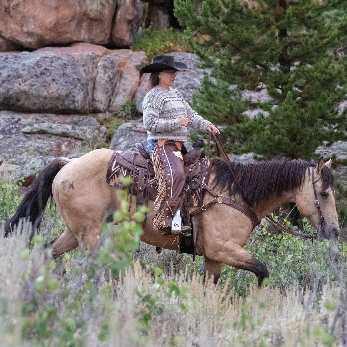 Premium Western Leather Chaps