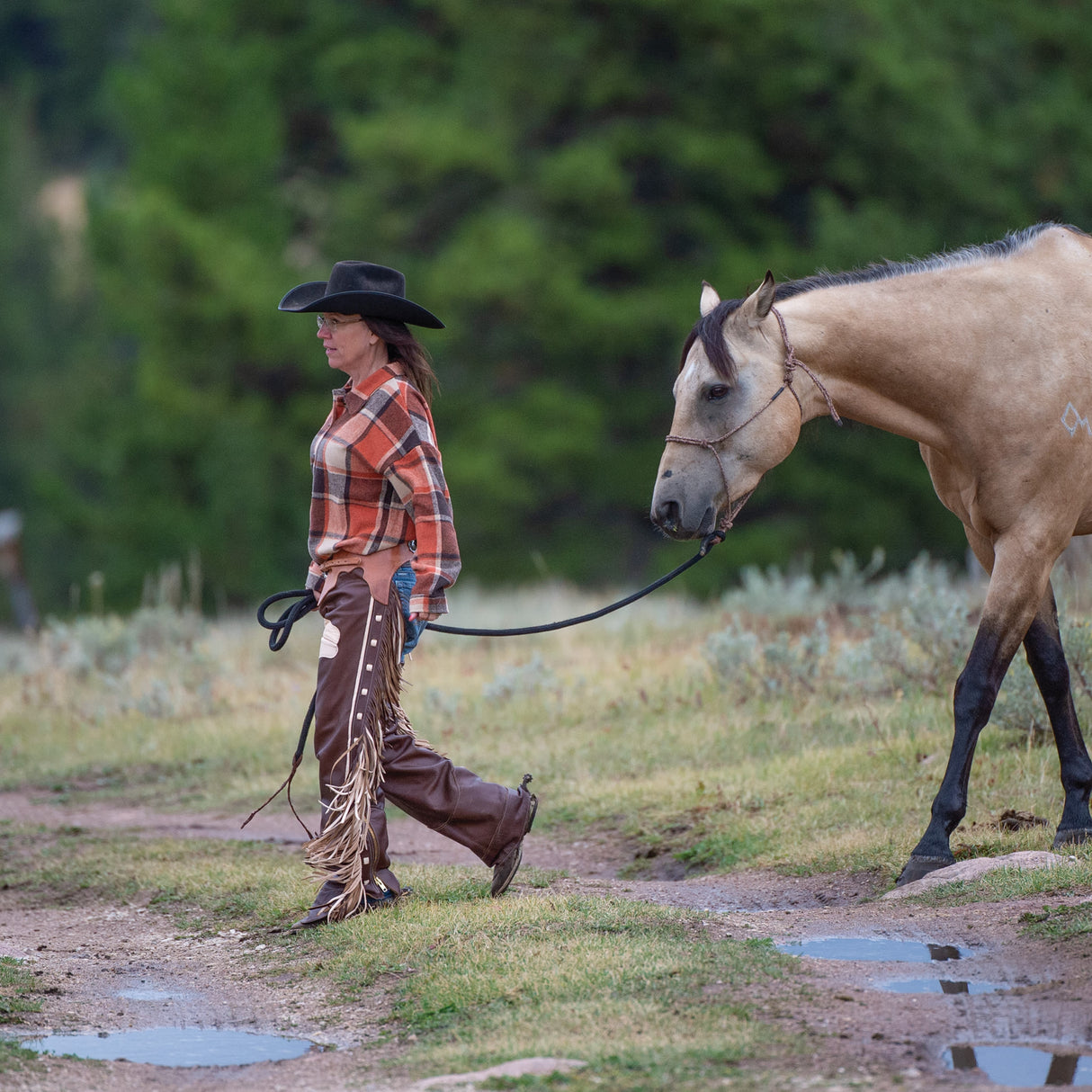 Premium Western Leather Chaps