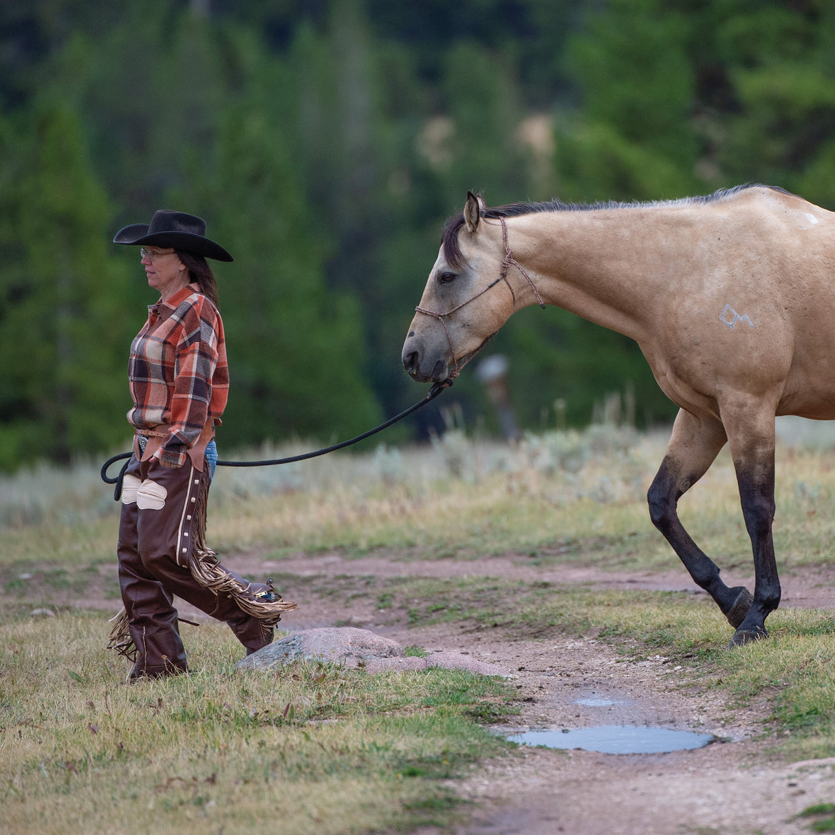Premium Western Leather Chaps