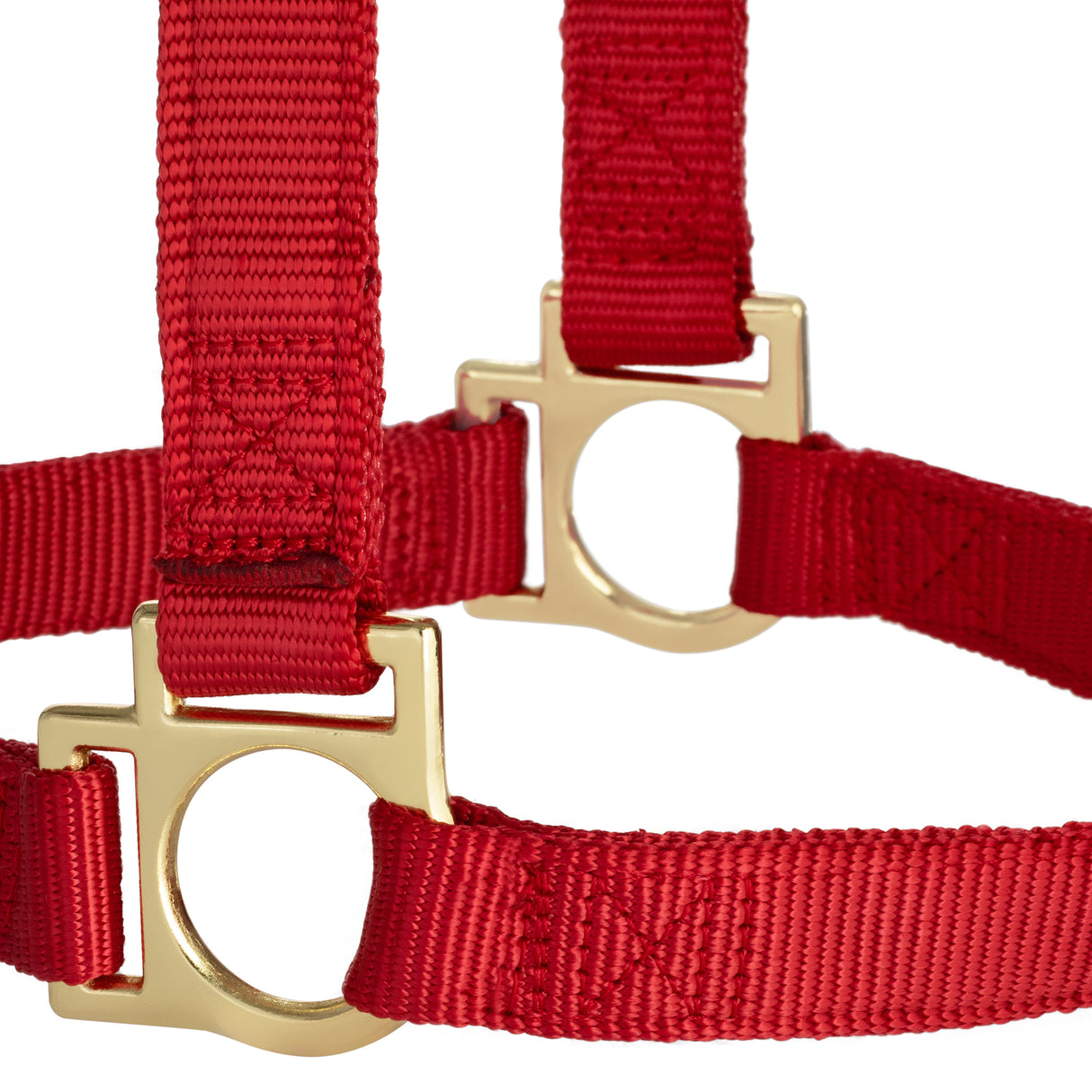Basic Non-Adjustable Halter