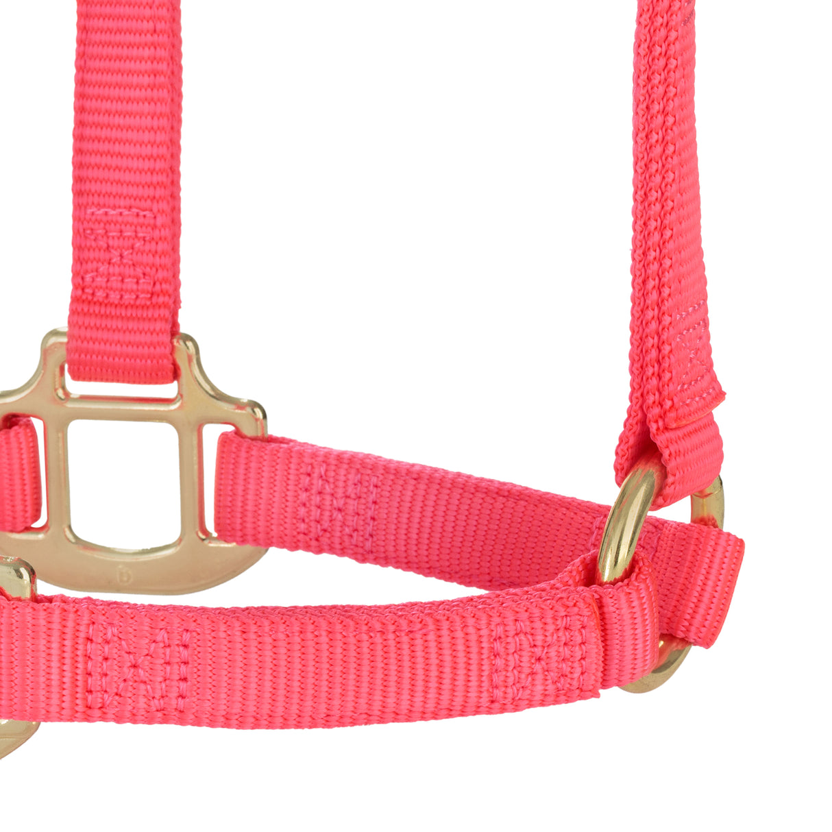 Original Non-Adjustable Halter, Weanling/Pony, 3/4"