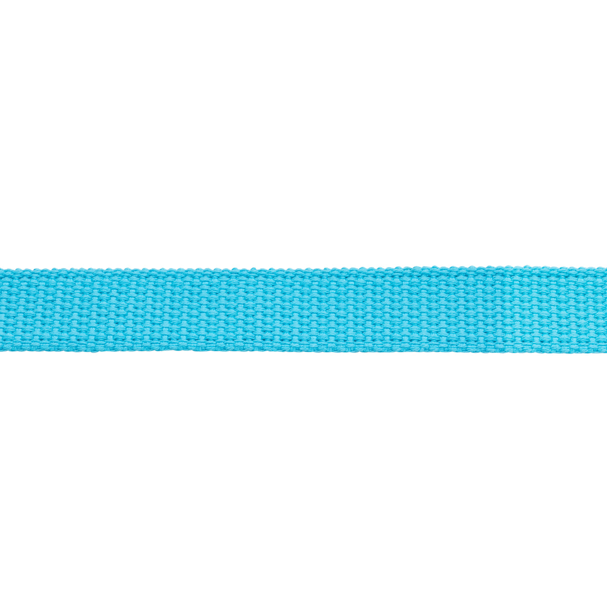 Flat Cotton Lunge Line, 1" x 30 with Nickel