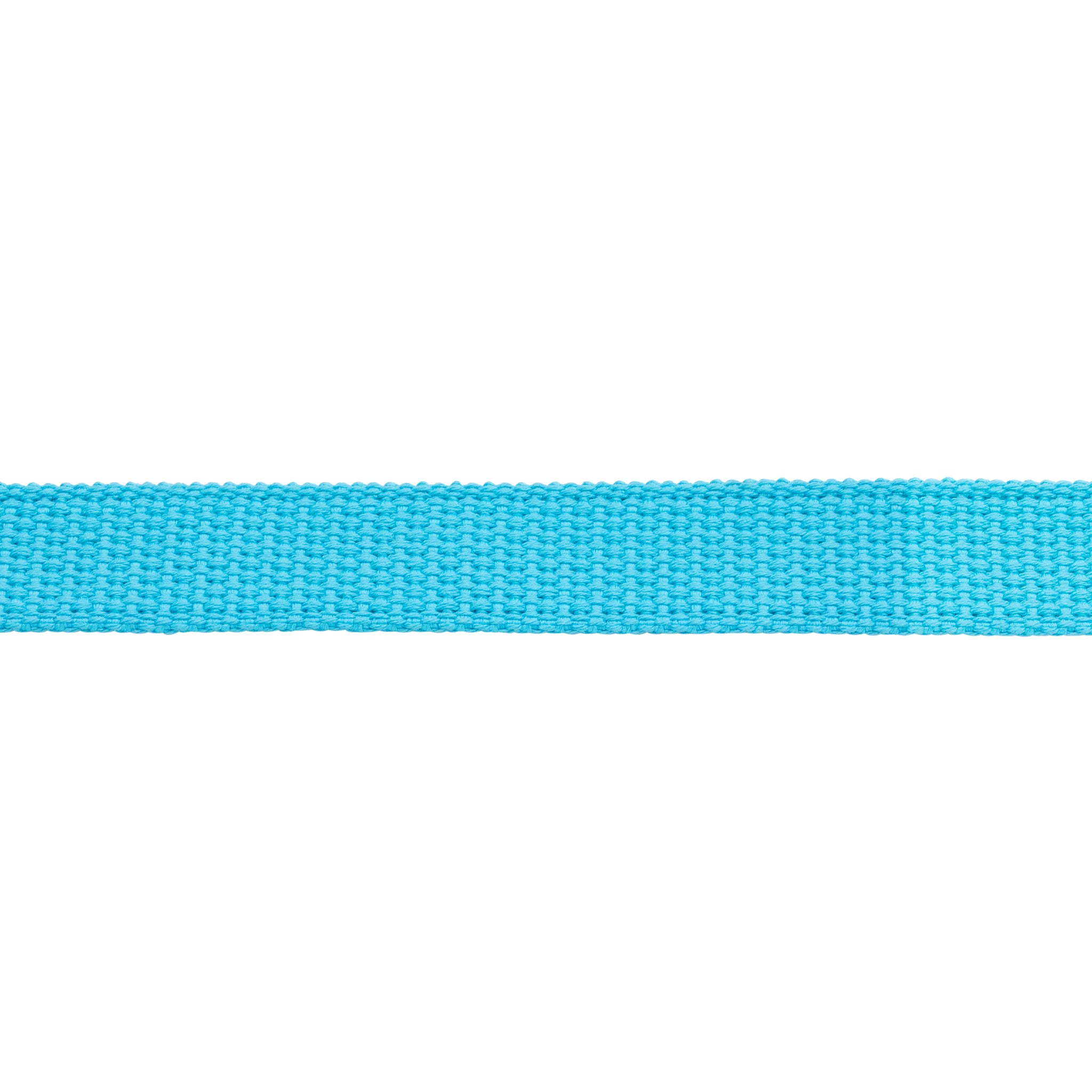 Flat Cotton Lunge Line, 1" x 30 with Nickel