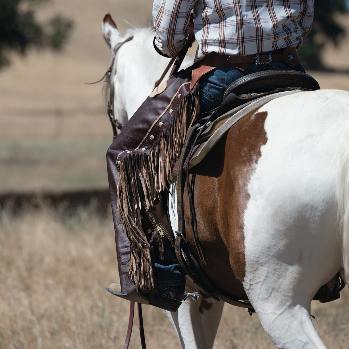 Premium Western Leather Chaps