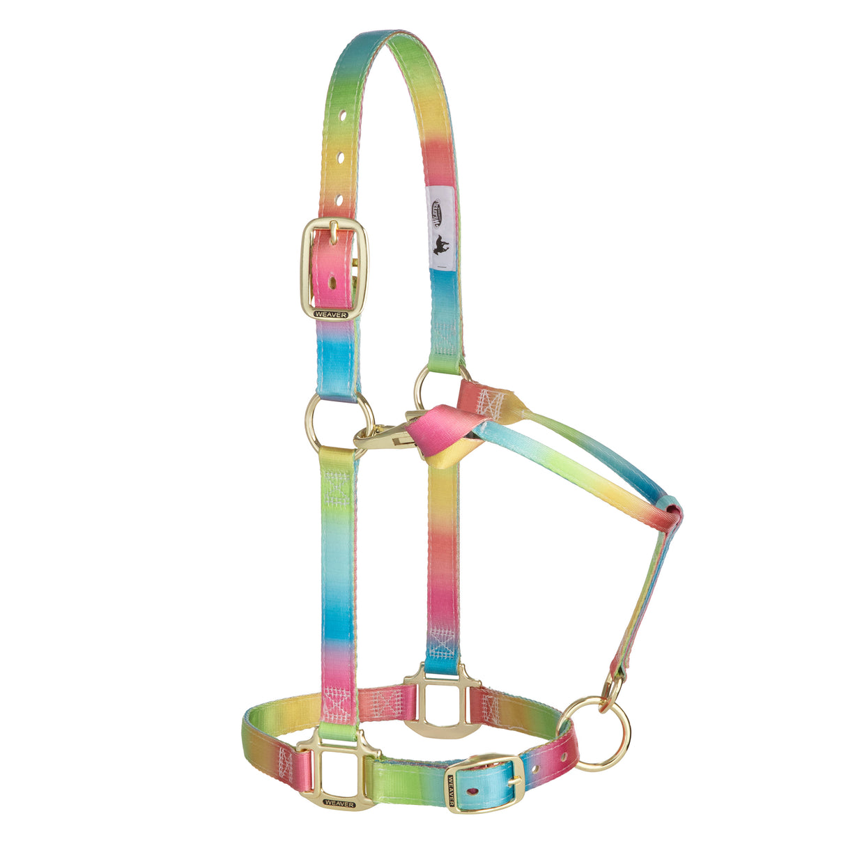 Rainbow Adjustable Polyester Halter, 1"