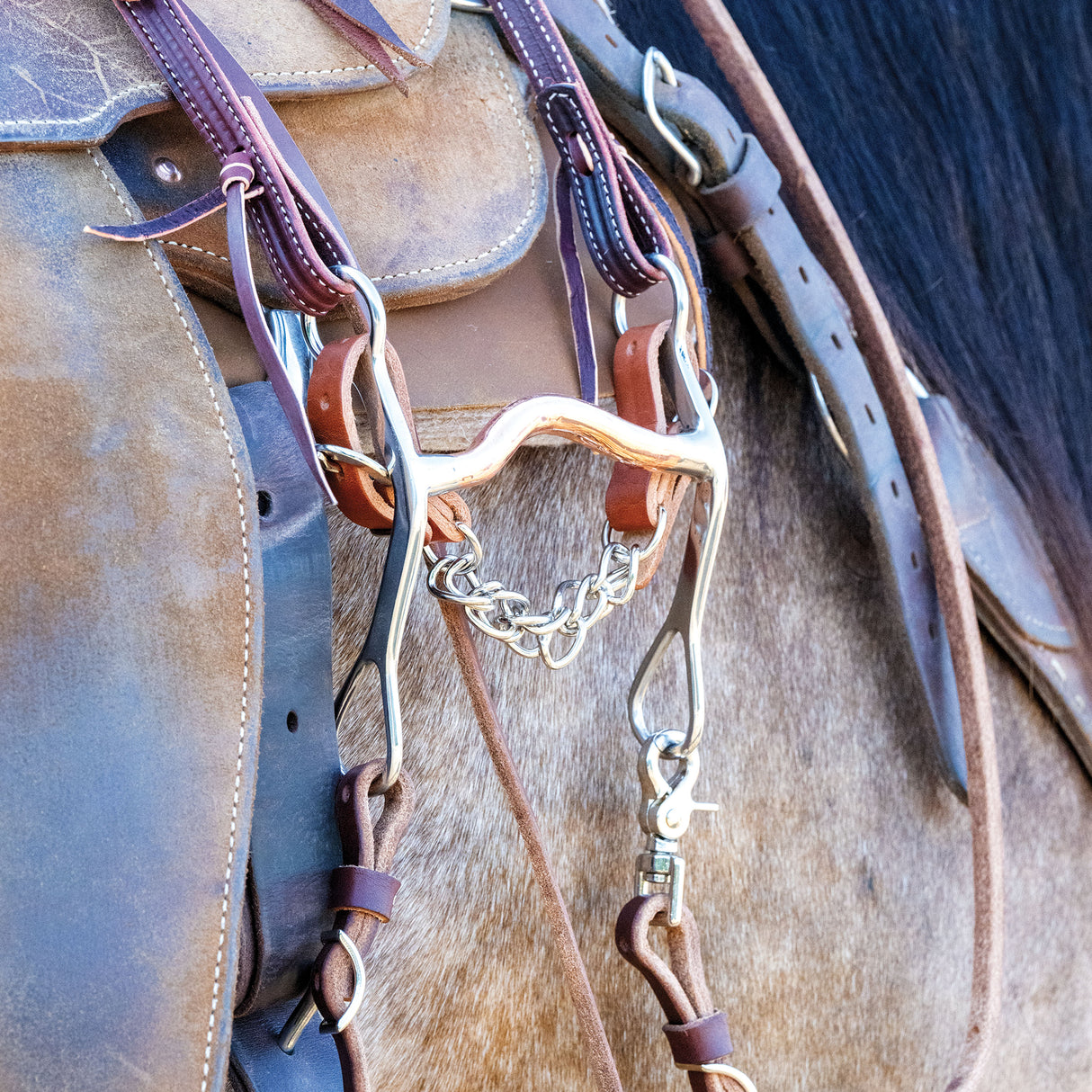 All Purpose Bit, 5-1/2" Medium Port Copper Mouth