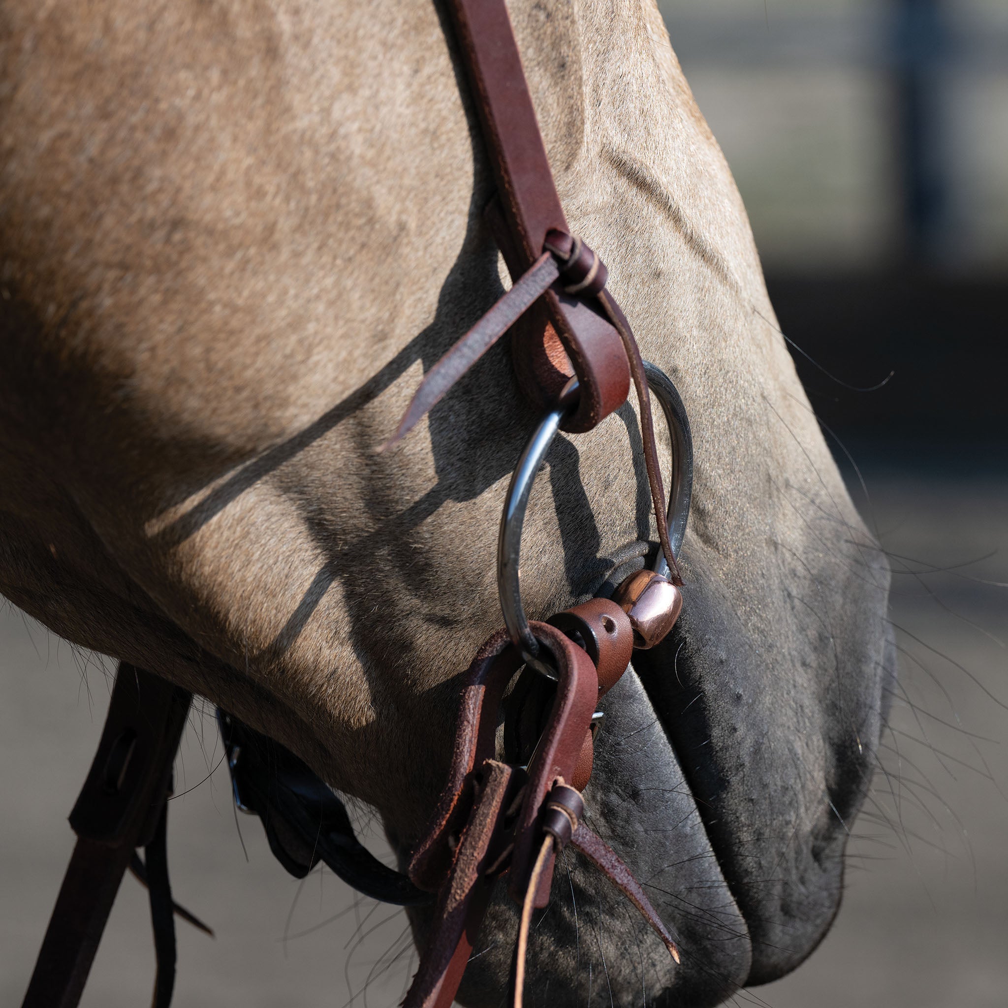 Professional Ring Snaffle Bit, 5" Copper Mouth