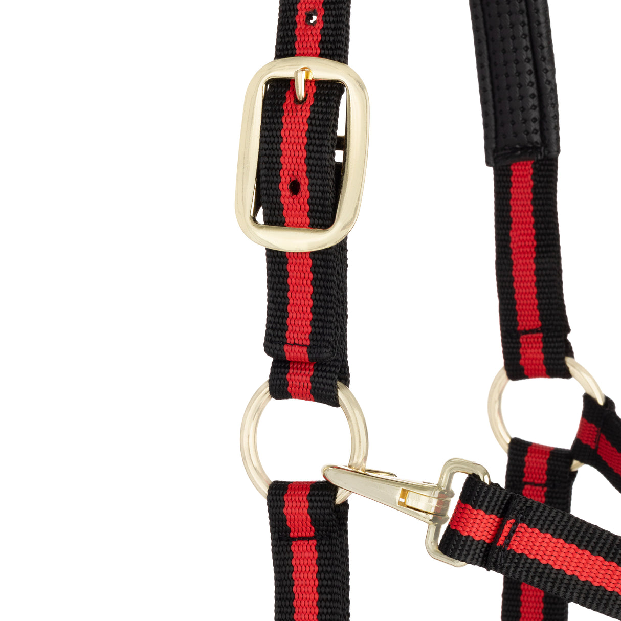 Padded Adjustable Chin and Throat Snap Halter, Striped