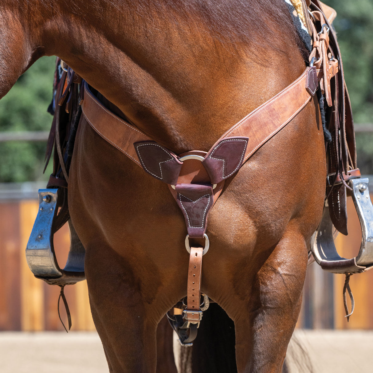Harness and Latigo Leather Roper Breast Collar