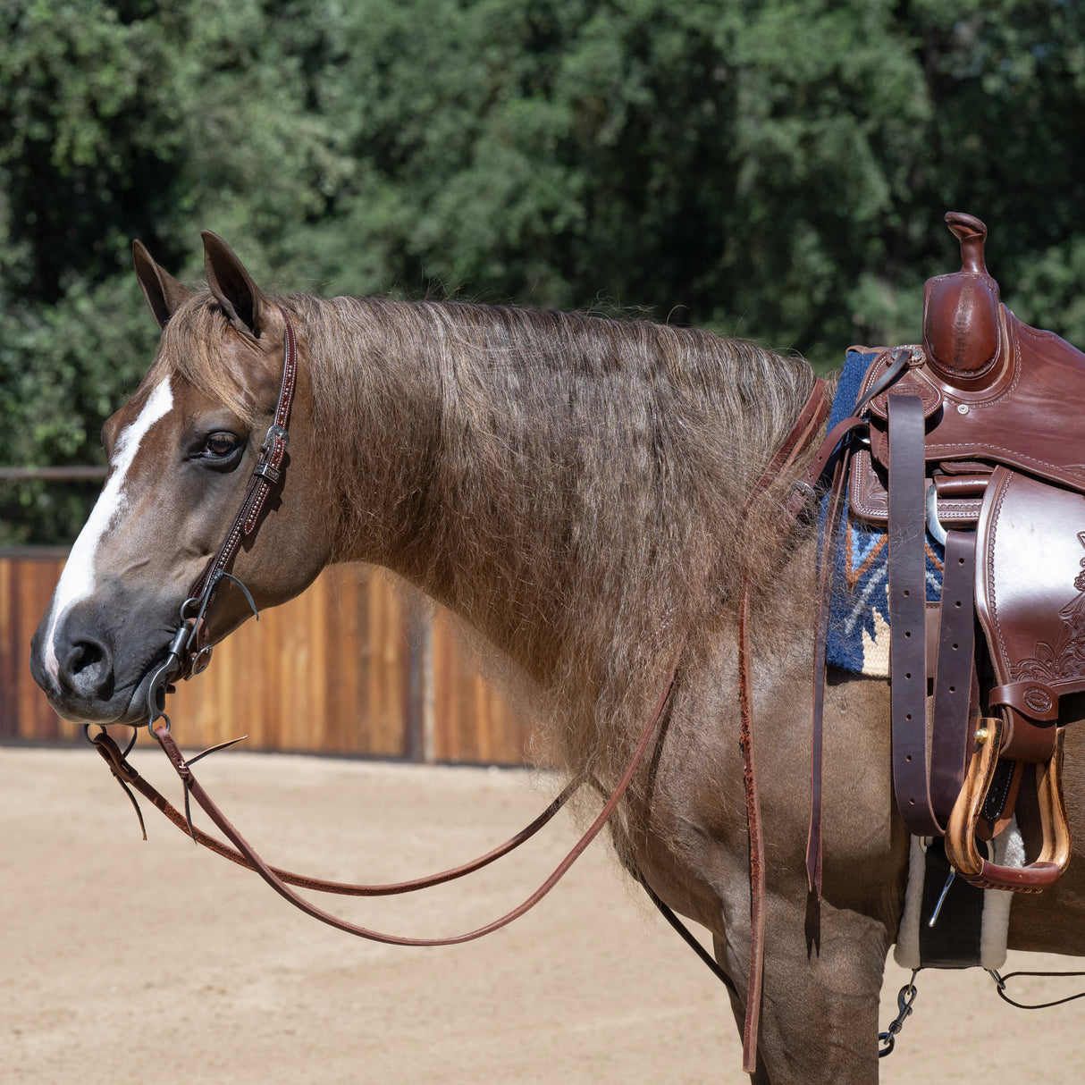 Austin Flat Sliding Ear Headstall