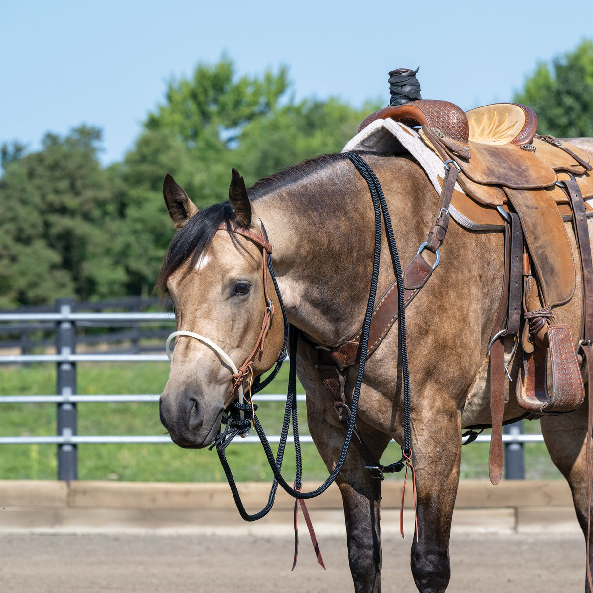 Loping Hackamore Leather Hanger with Mecate Rein